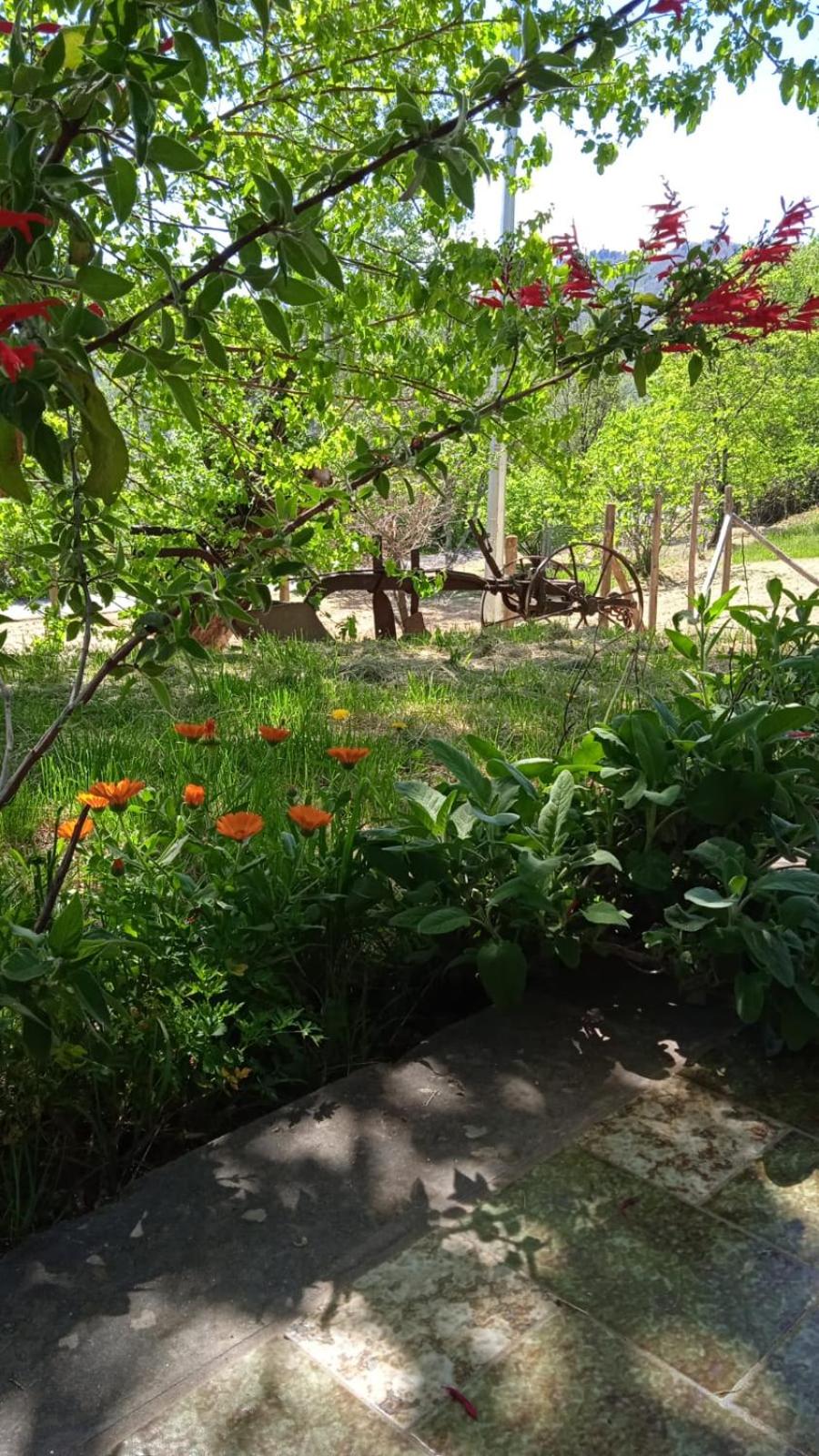 Photo 23