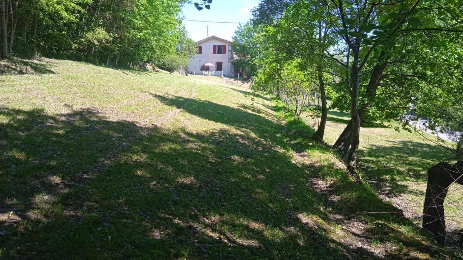 Photo 28