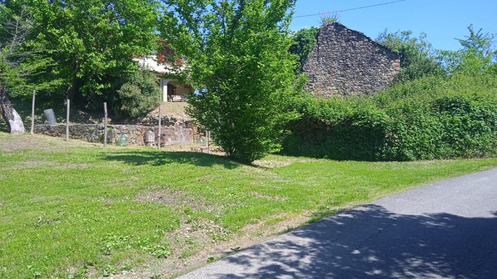 Photo 33
