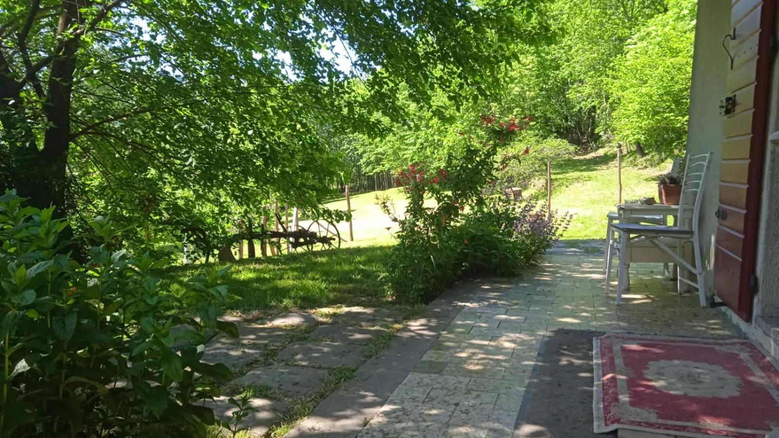 Photo 42