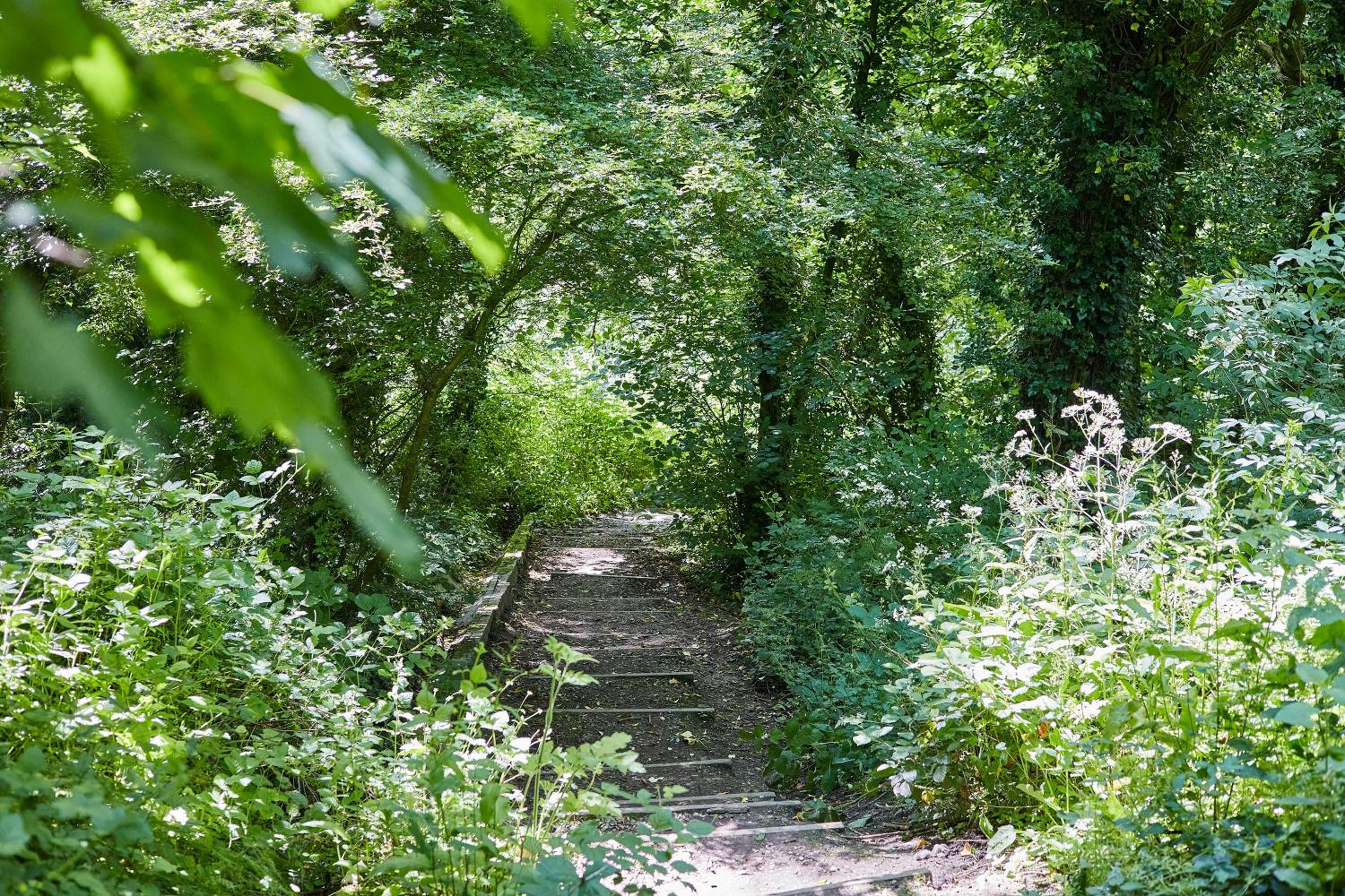 Photo 19