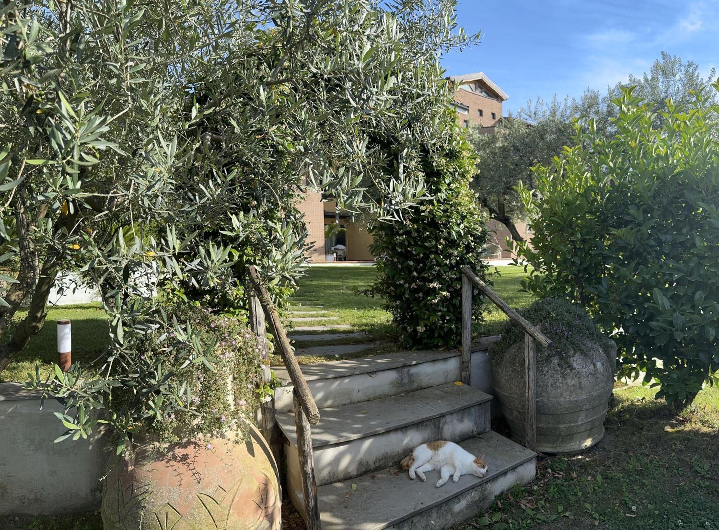 Villa C Luxury Estate