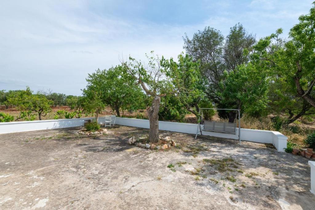 Il Trullo Bianco molillo view 5