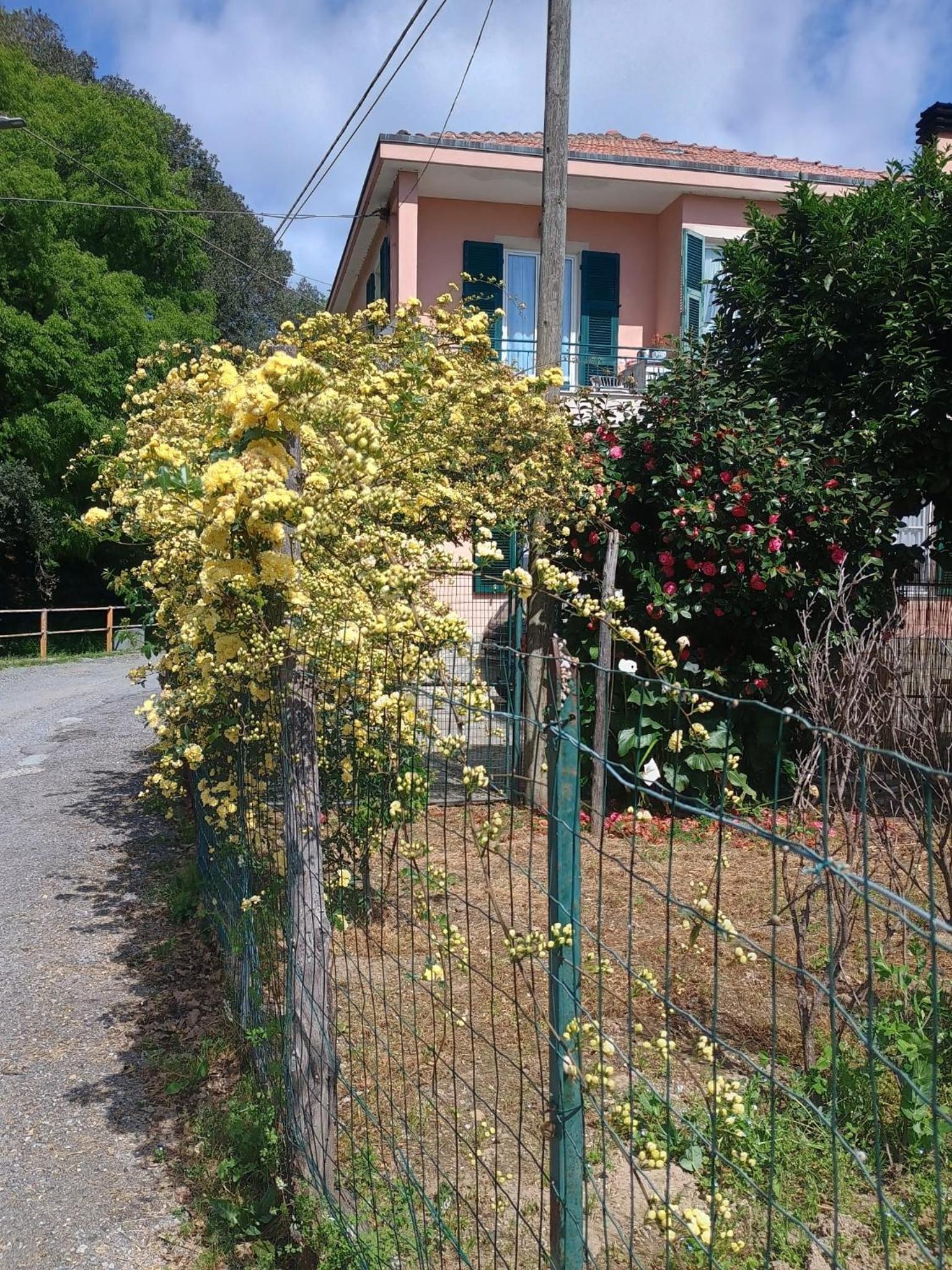 Photo 42