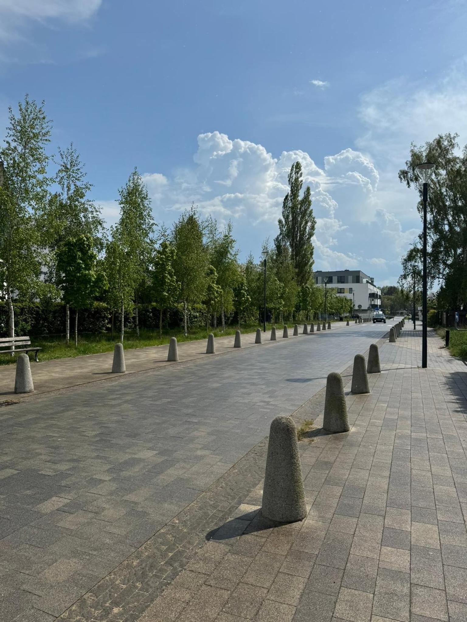 Photo 29
