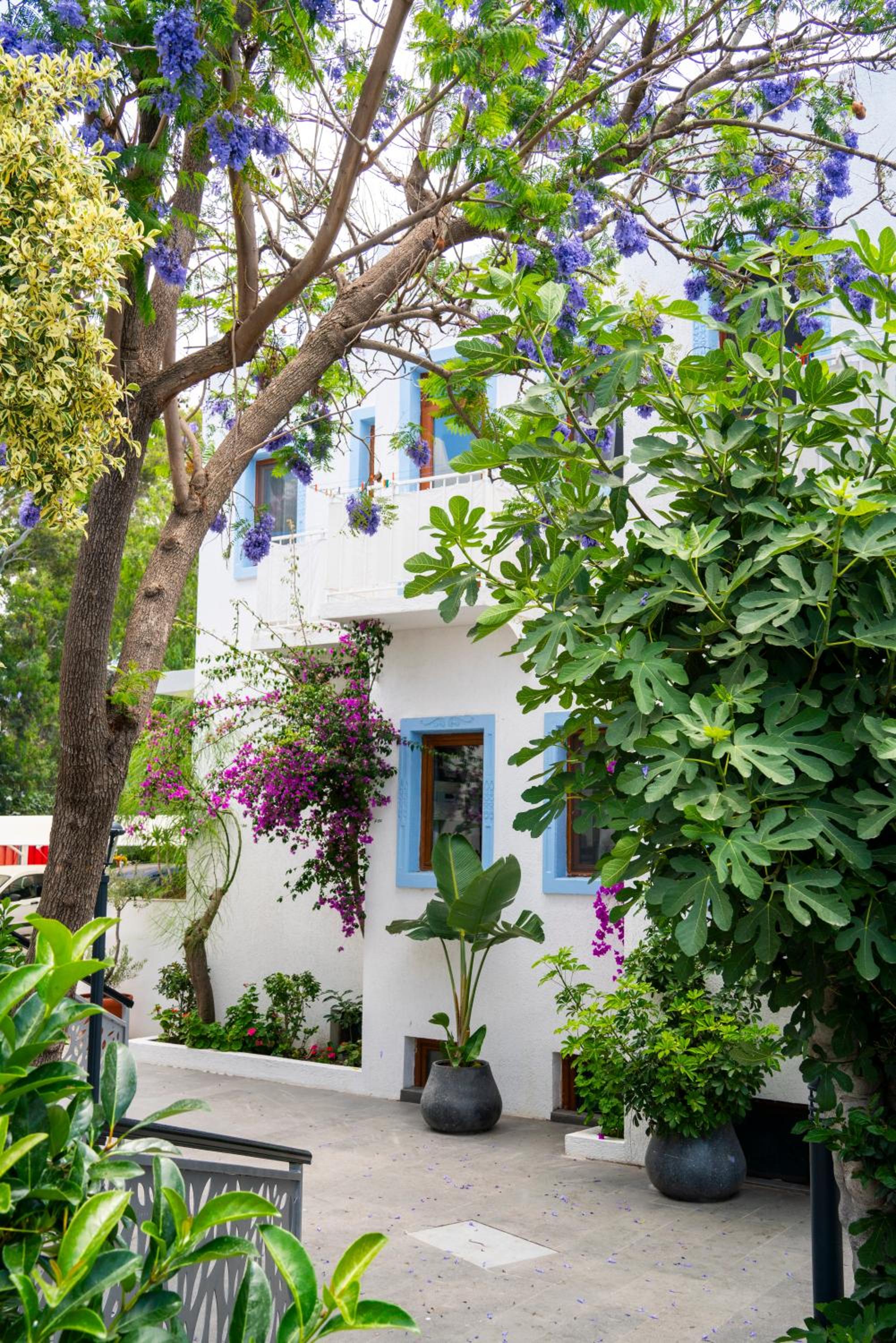 Manuela Boutique Hotel Bitez en Bitez