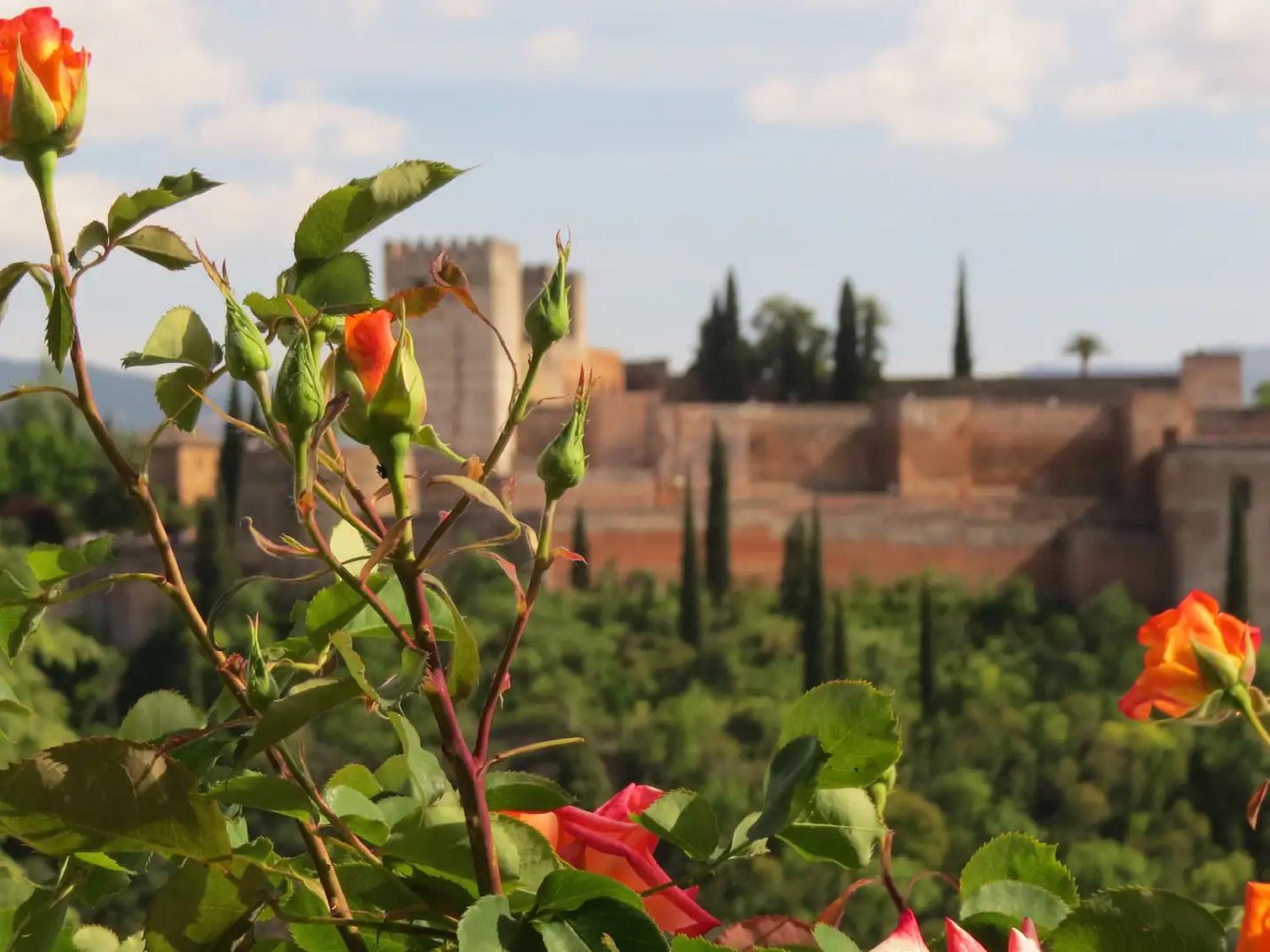Holiday Granada Modernise