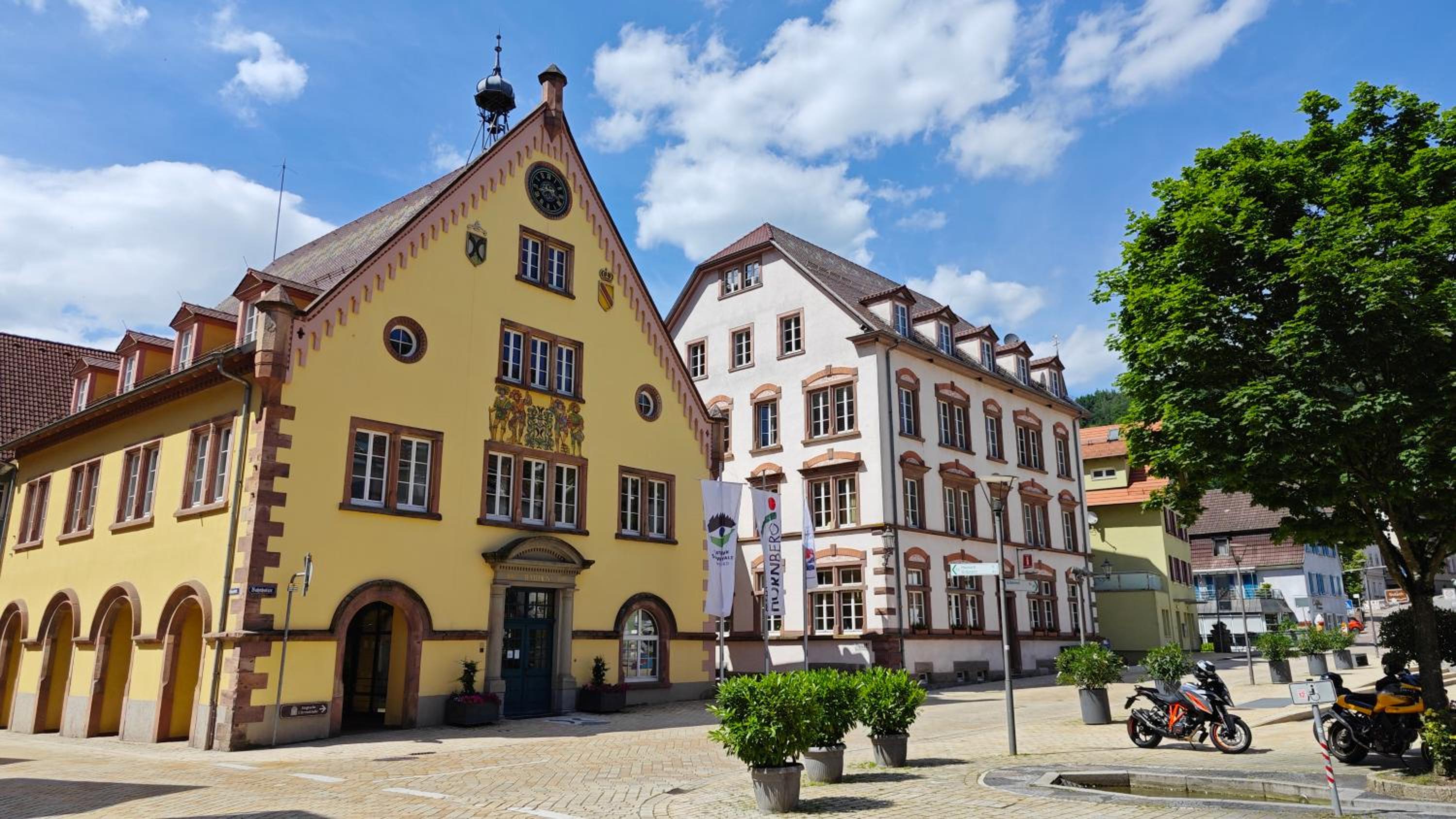 Schwarzwaldraum Schlossblick