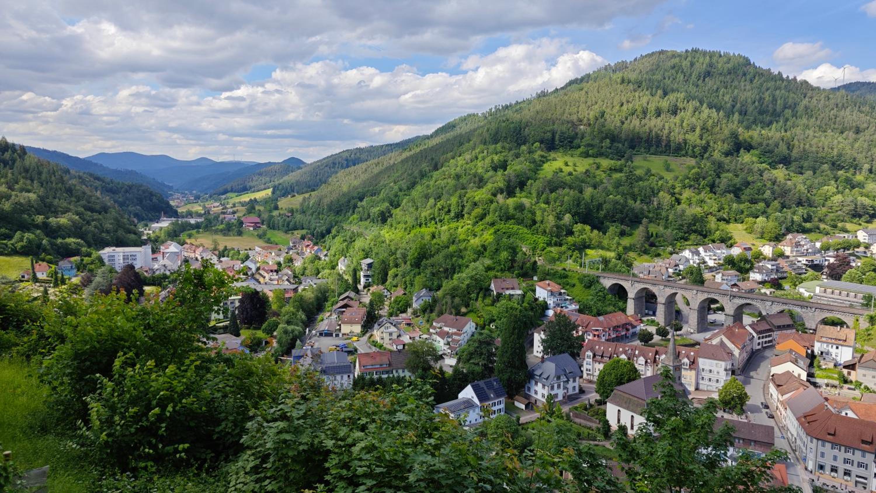 Schwarzwaldraum Schlossblick