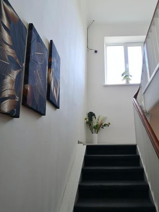 Suburban Guest House