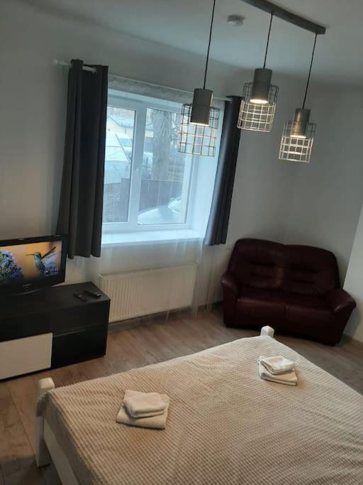 Suburban Guest House