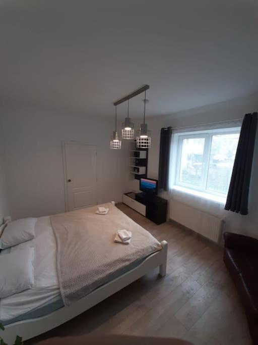 Suburban Guest House