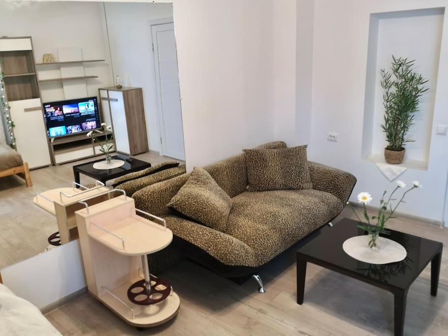 Suburban Guest House