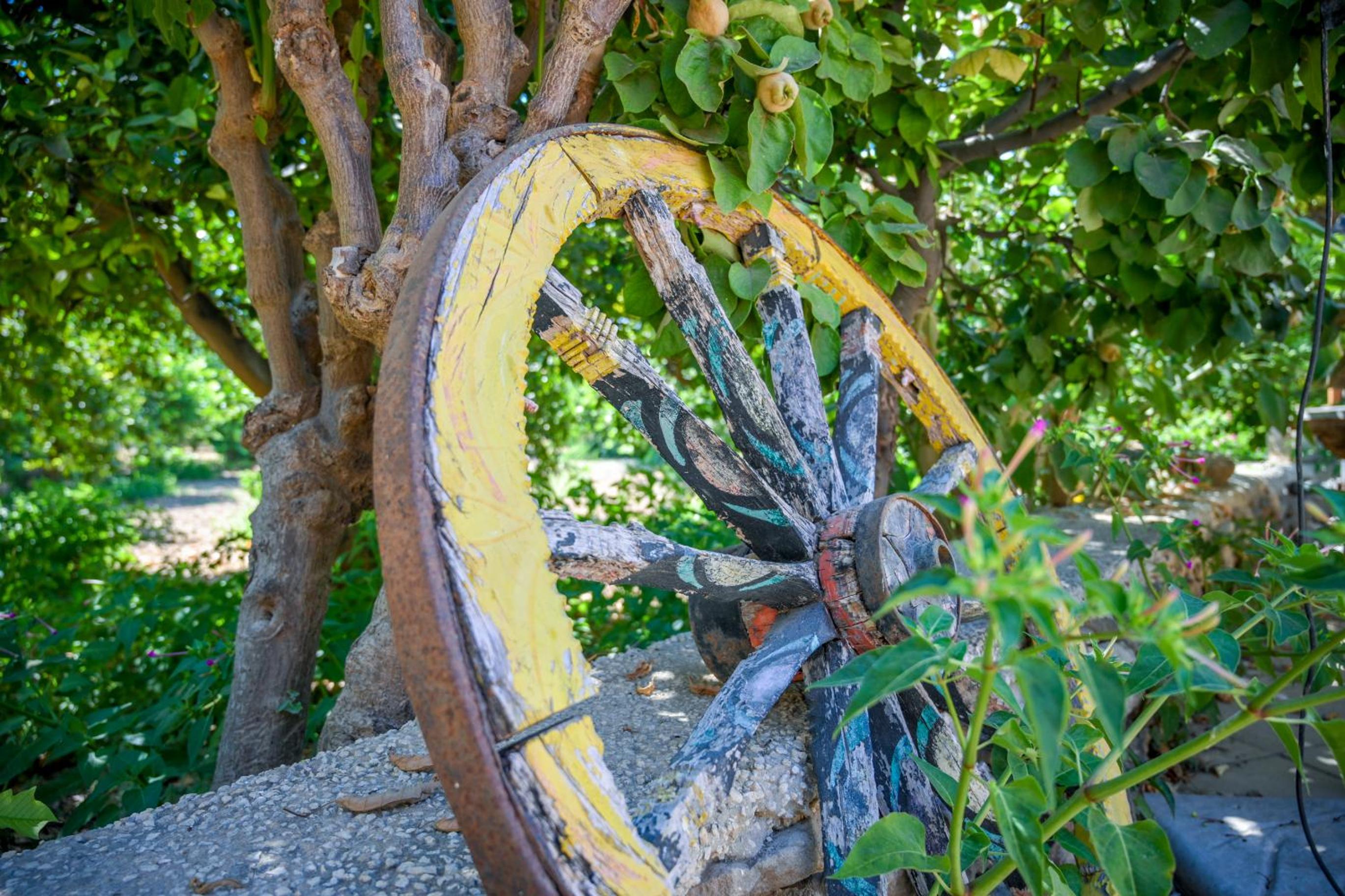 Photo 16
