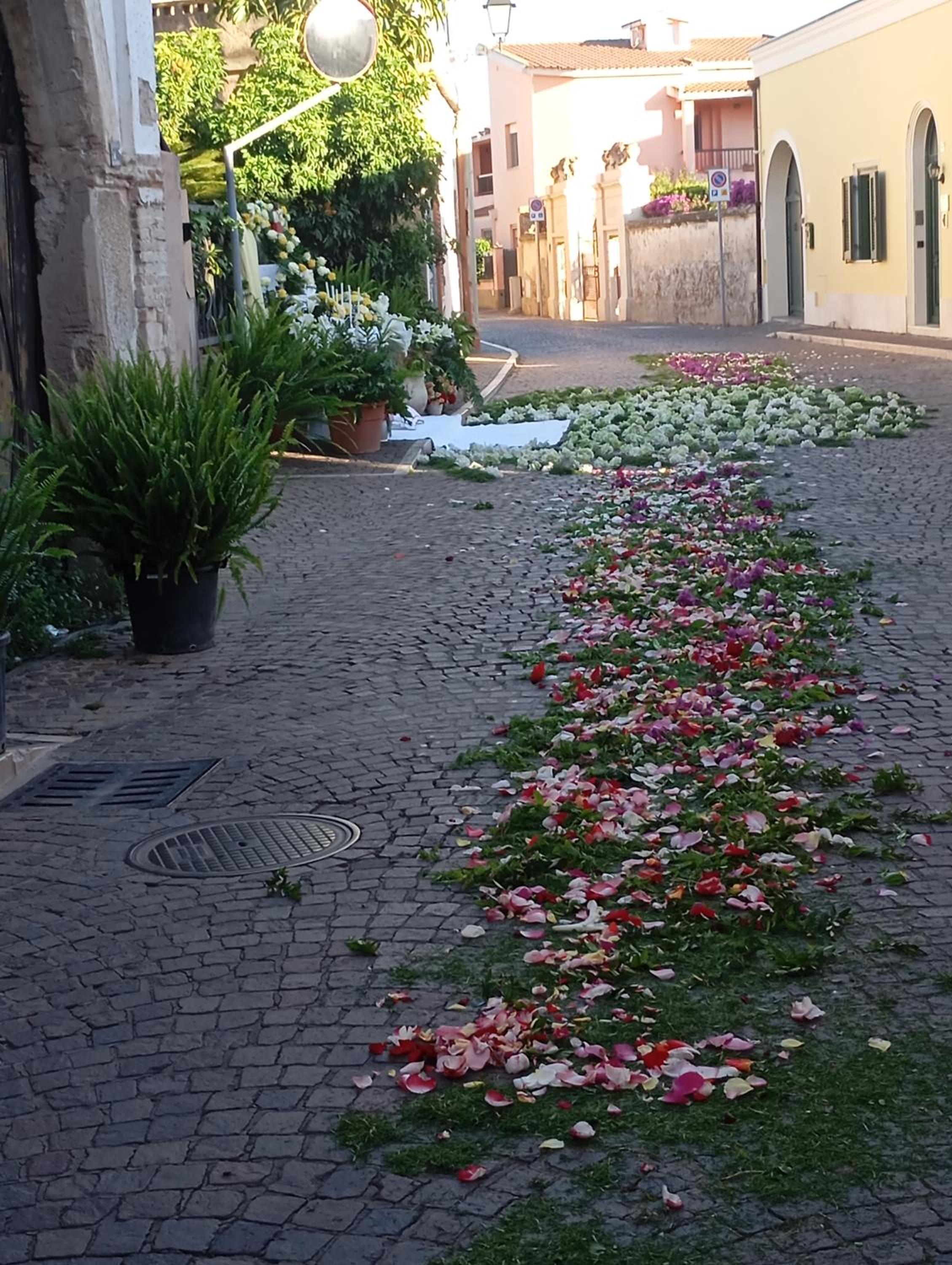 Appartamento Raggio di Sole view 5