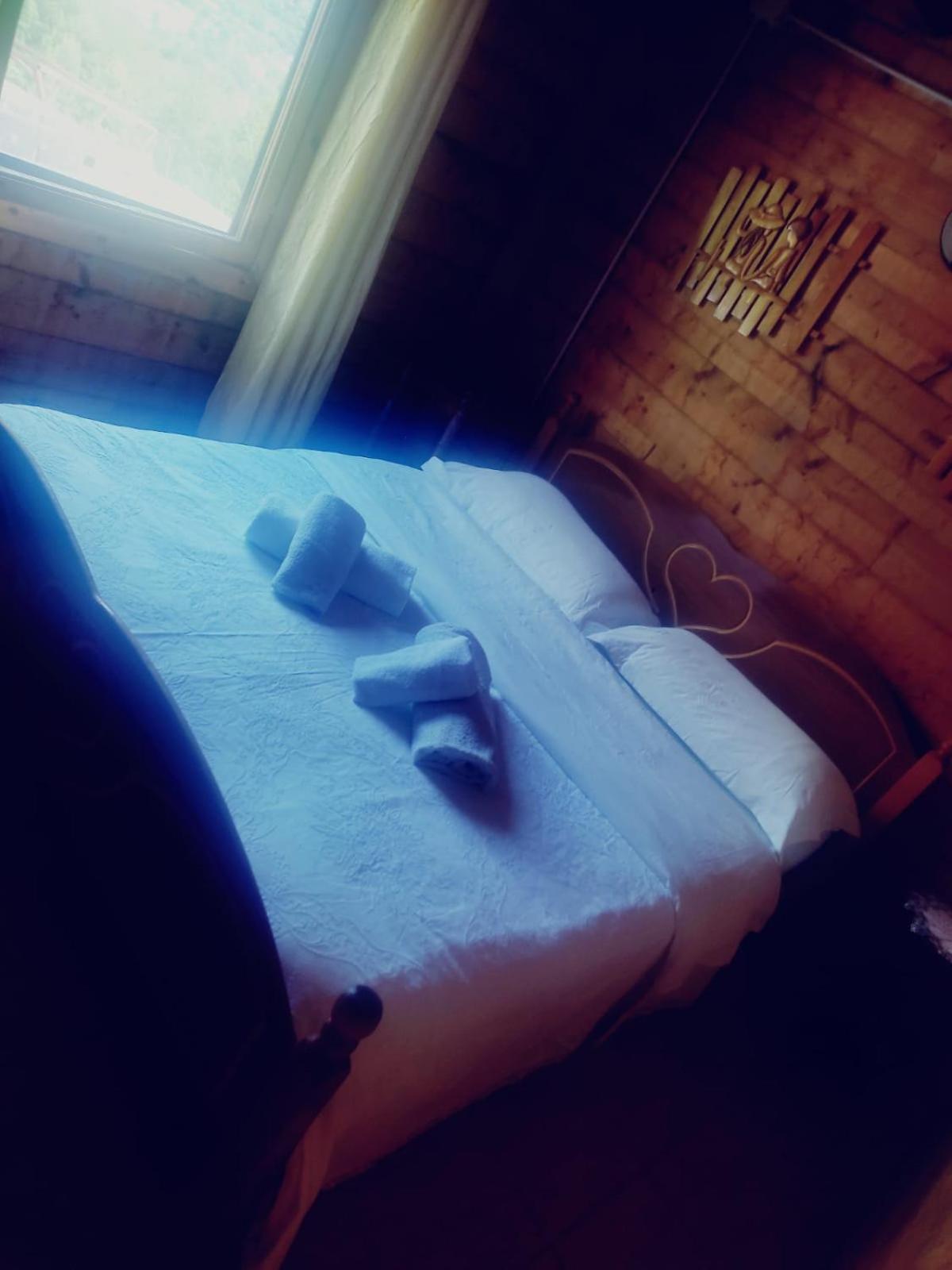Guest House Astrit Villi