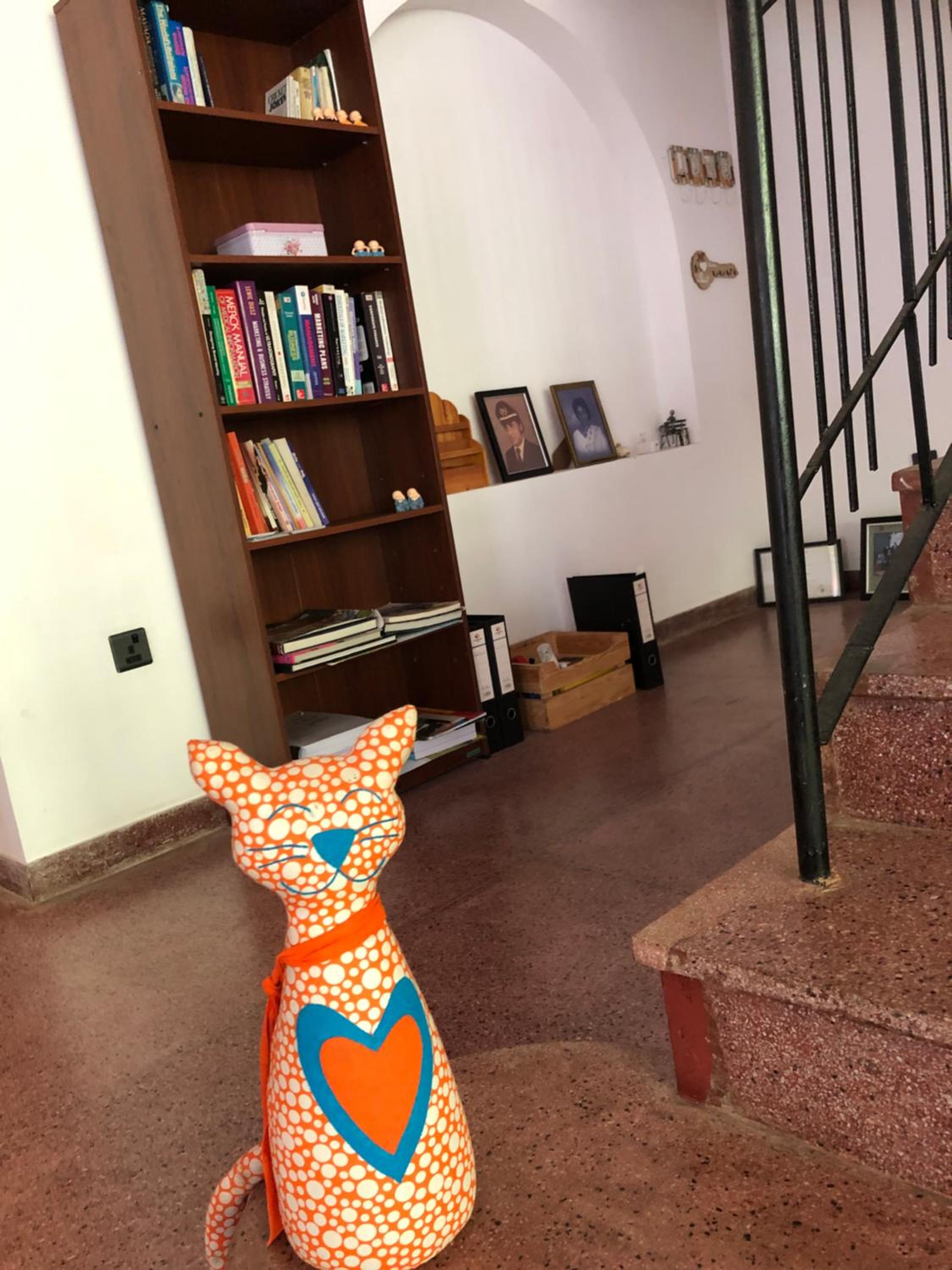 Photo 19