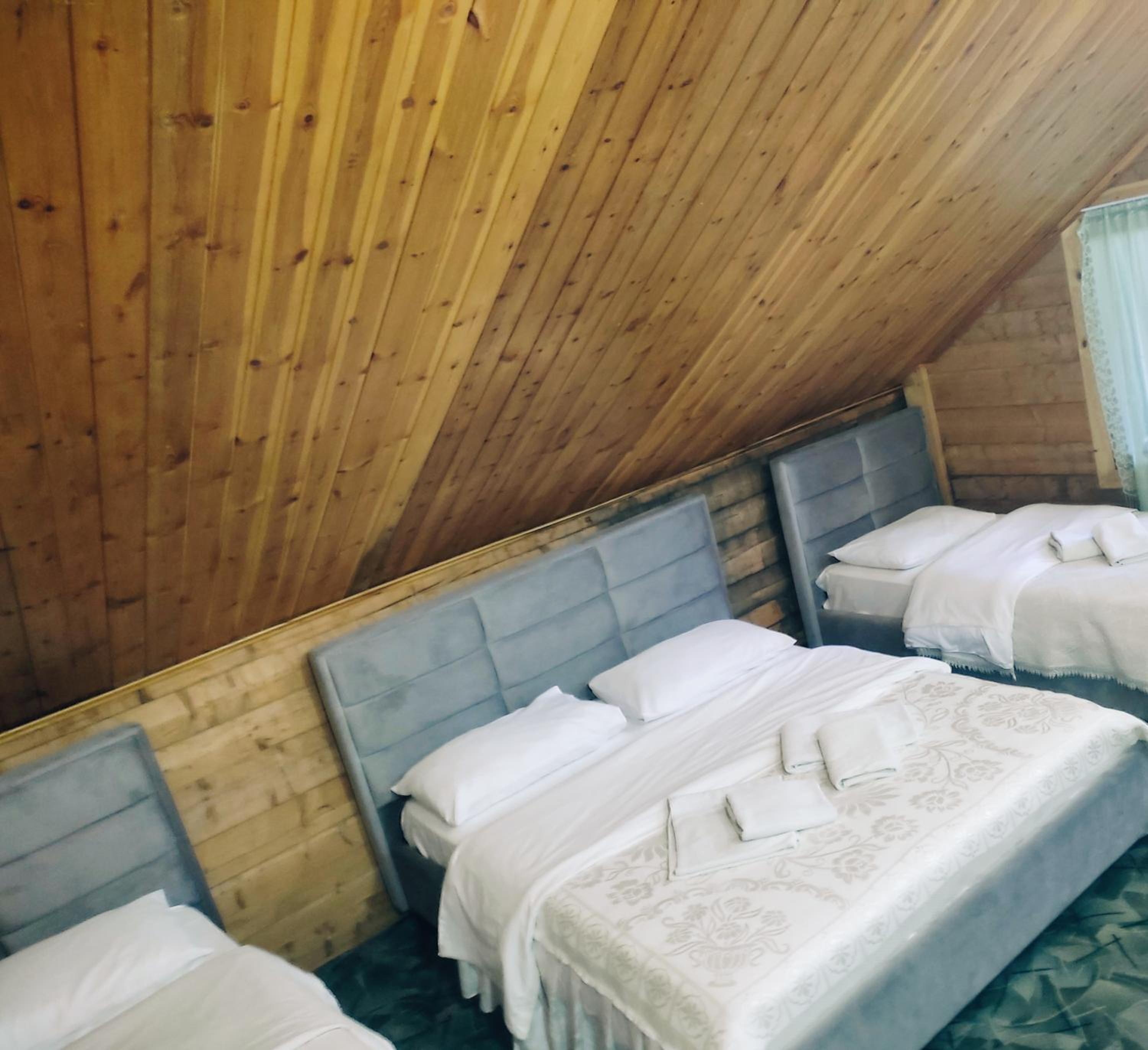Guest House Astrit Villi