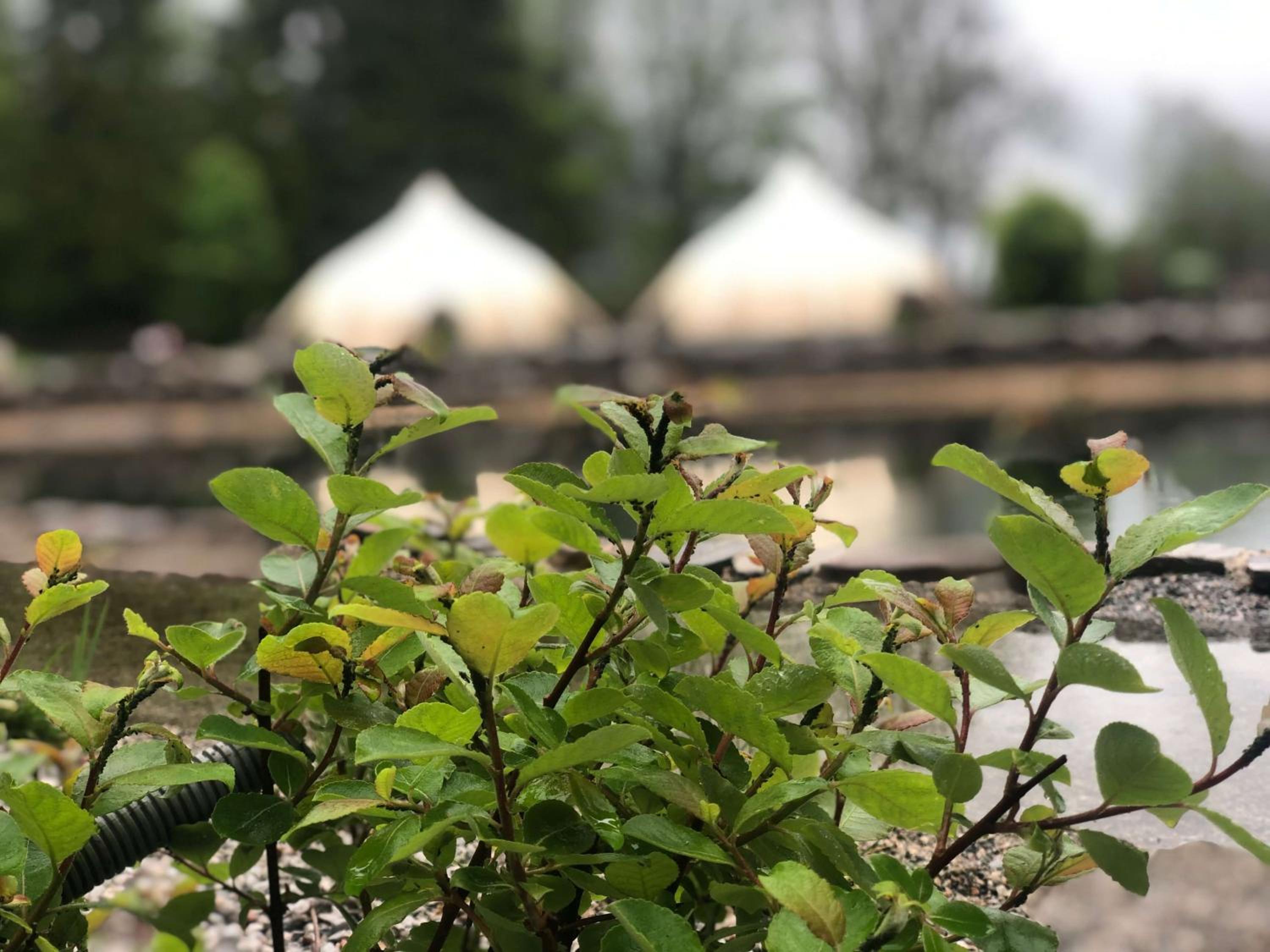 Camping & Ferienunterkünfte Steinplatte