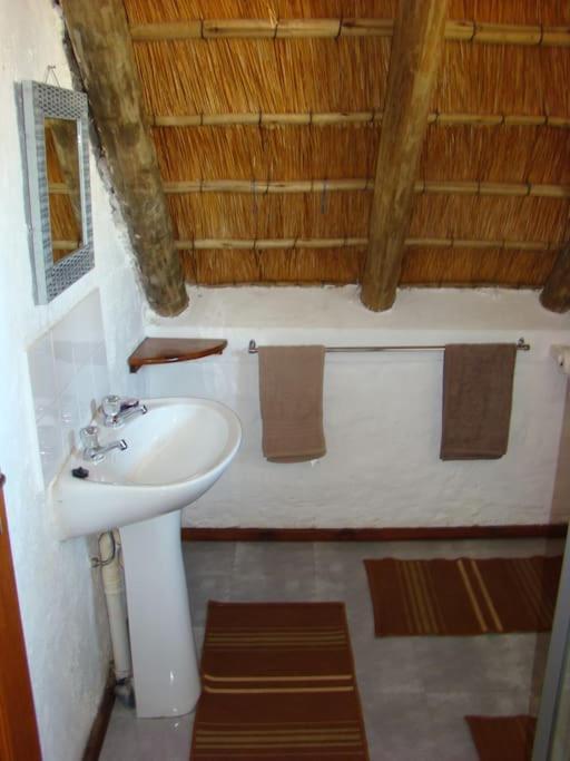 Photo 24