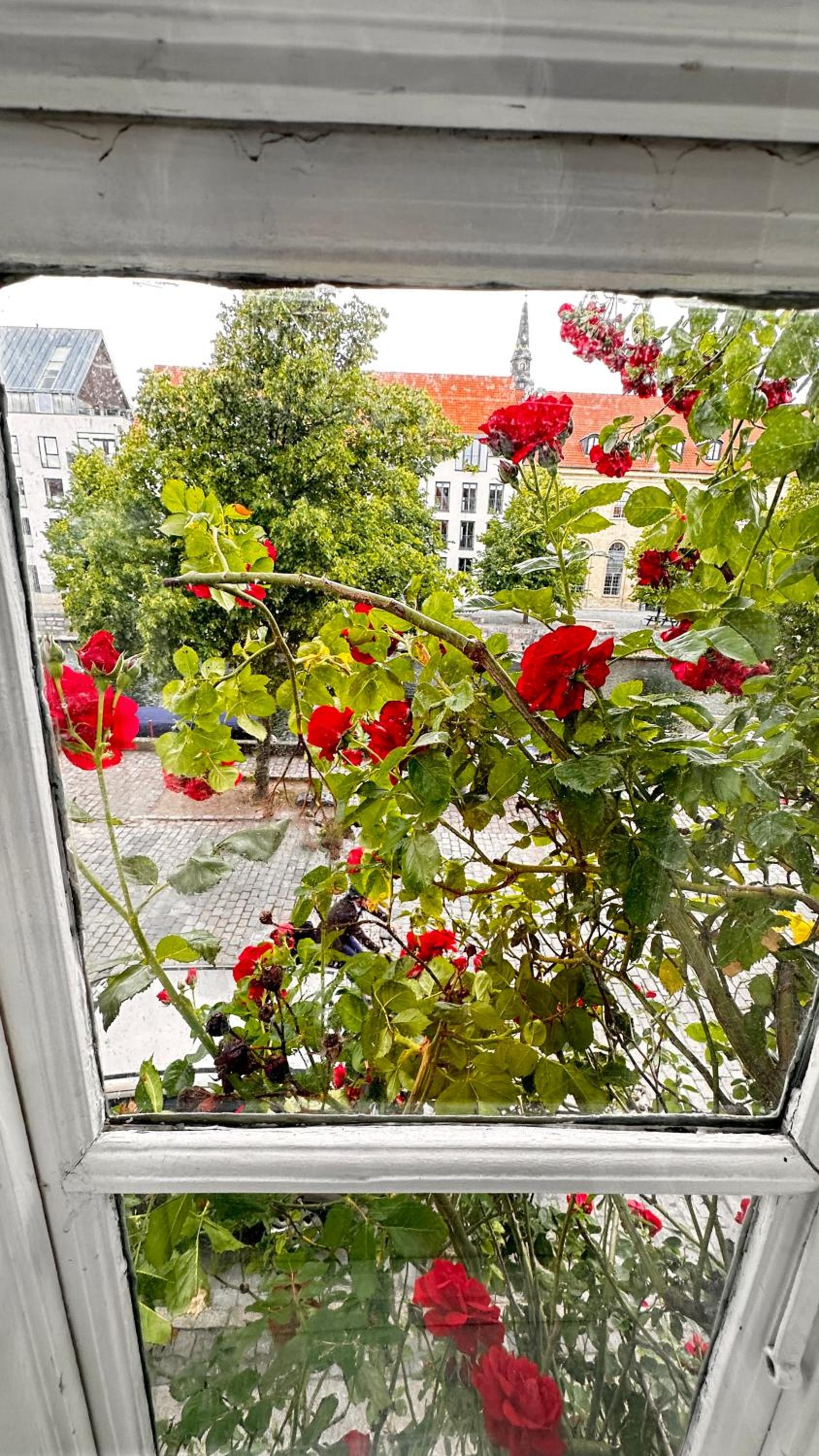 Beautiful Townhouse