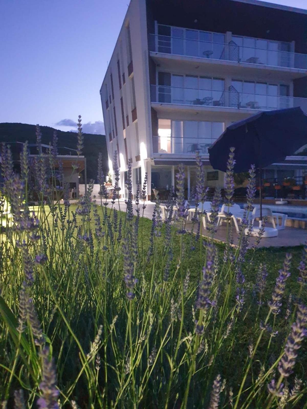 Villa Jana Dojran