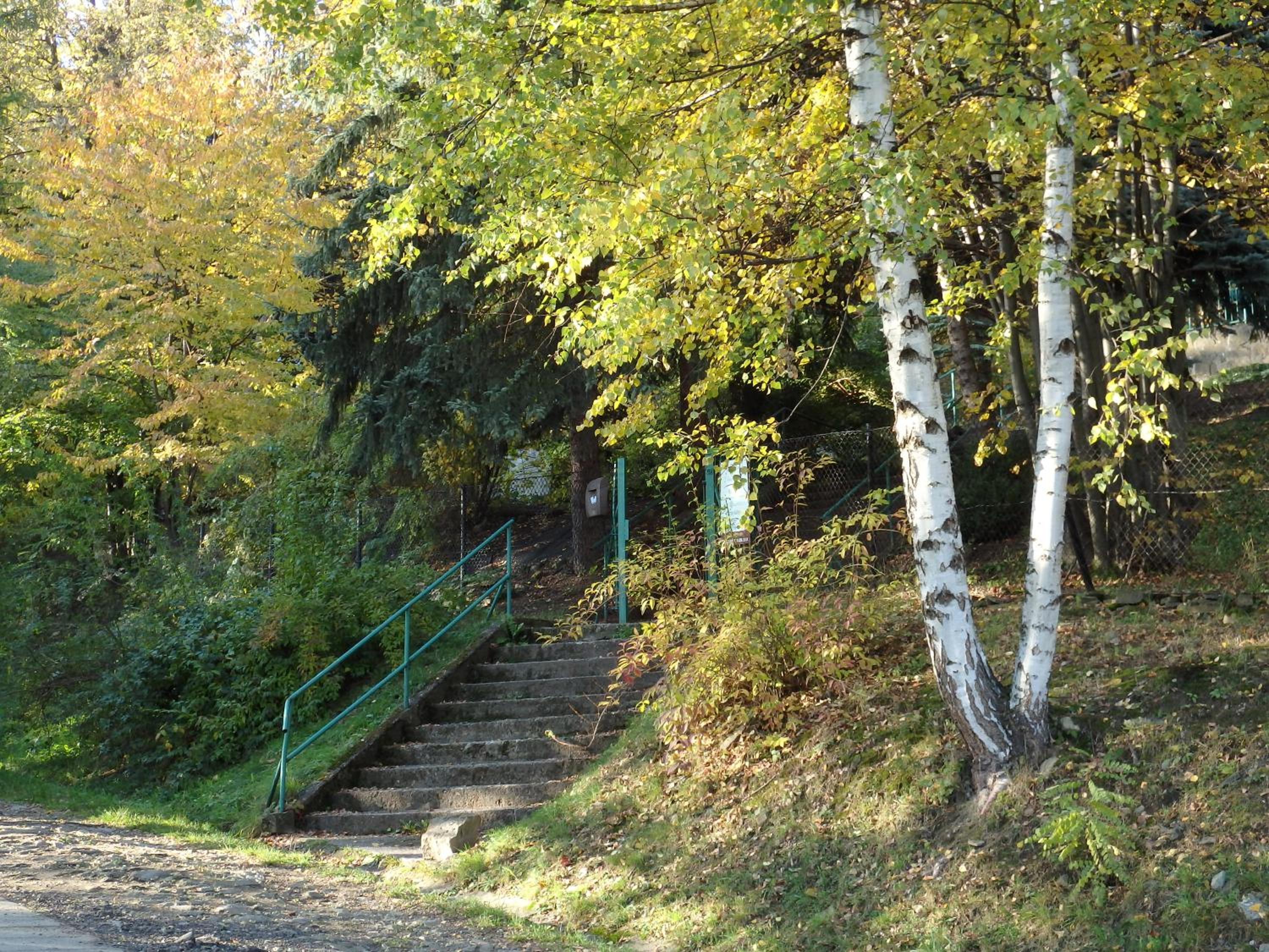 Photo 46