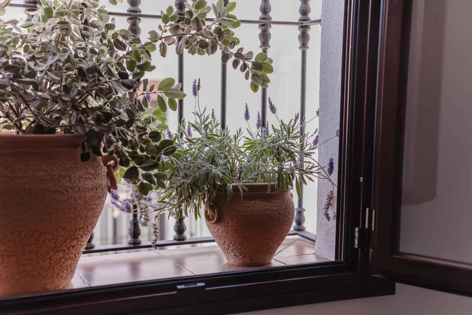 Yanes Bed And Breakfast Ronda