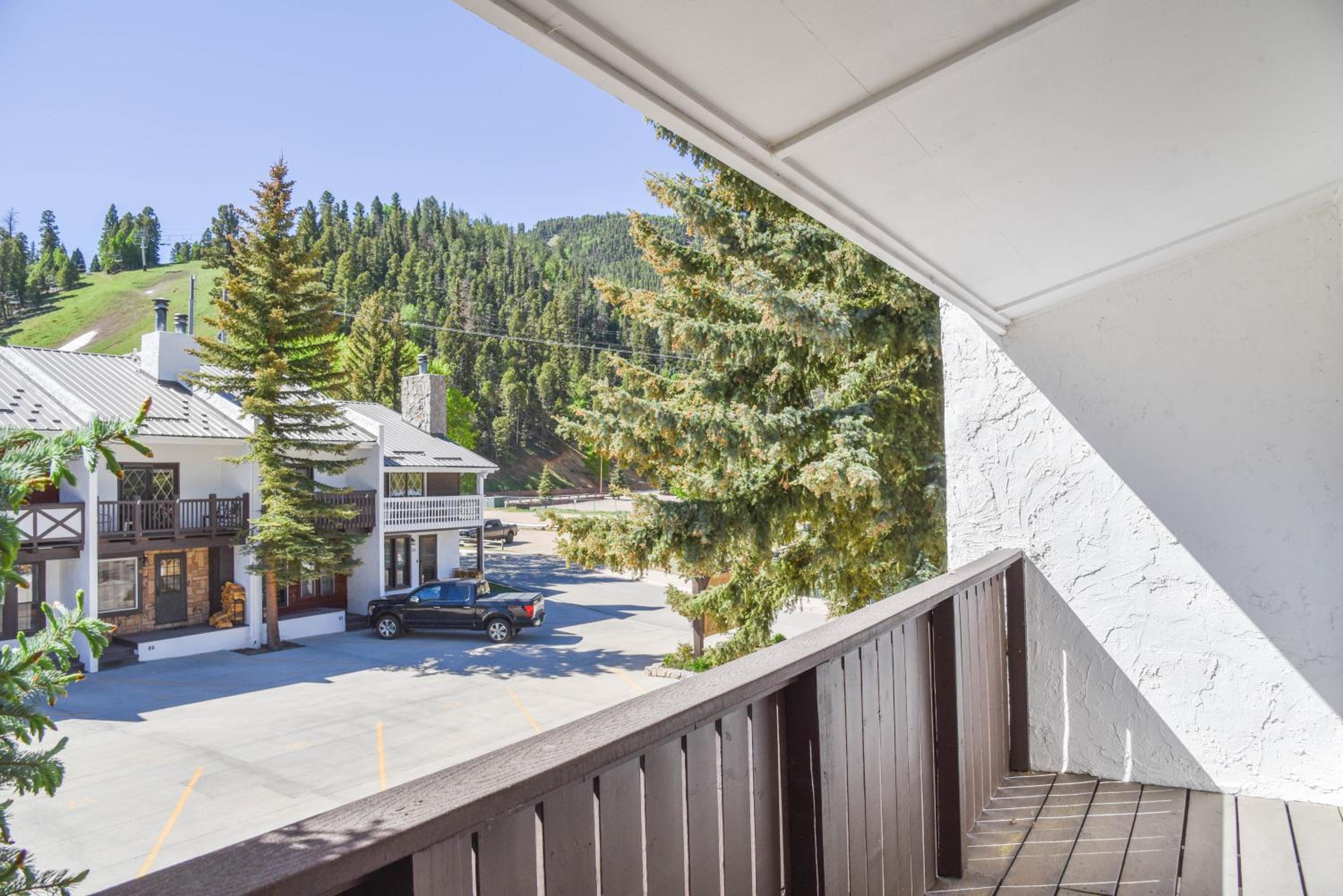 Photo 24