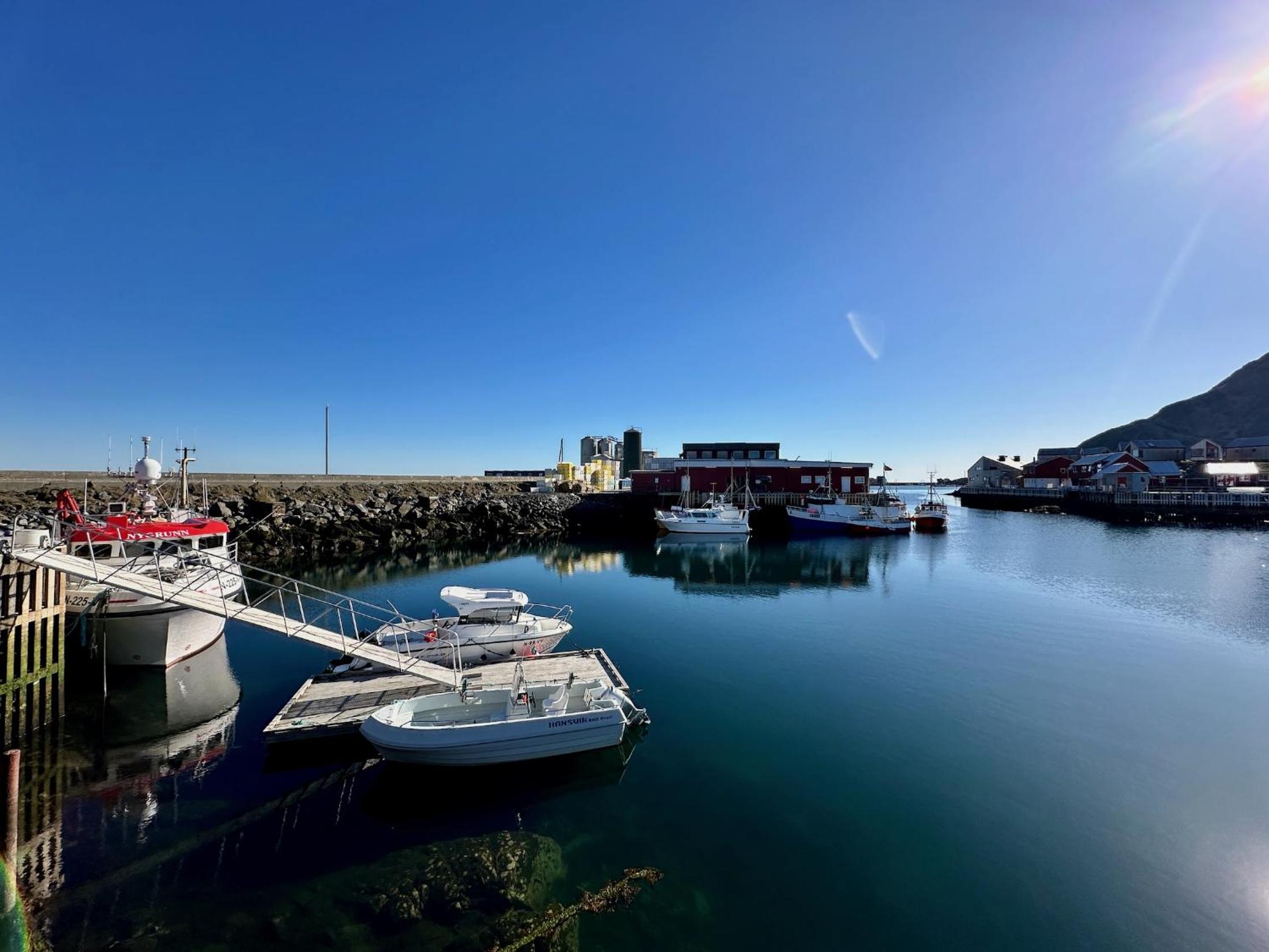 Ballstad Seaside View Lofoten