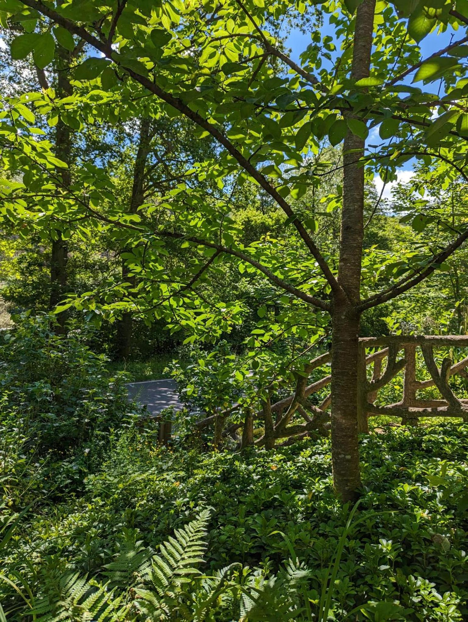 Peaceful chalet near the the Sure river