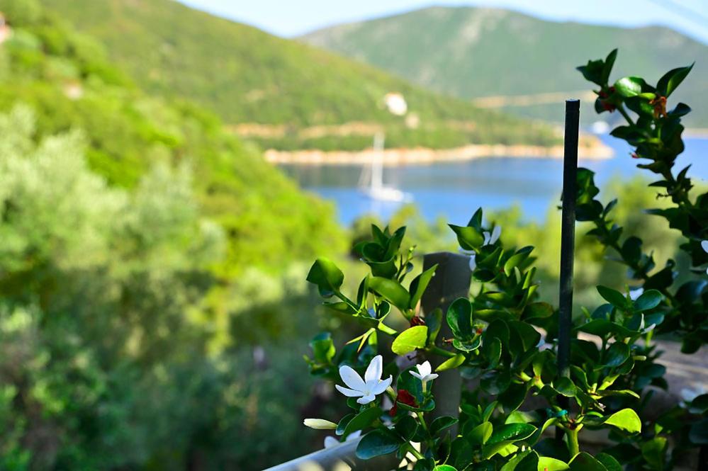 Villa Theodora