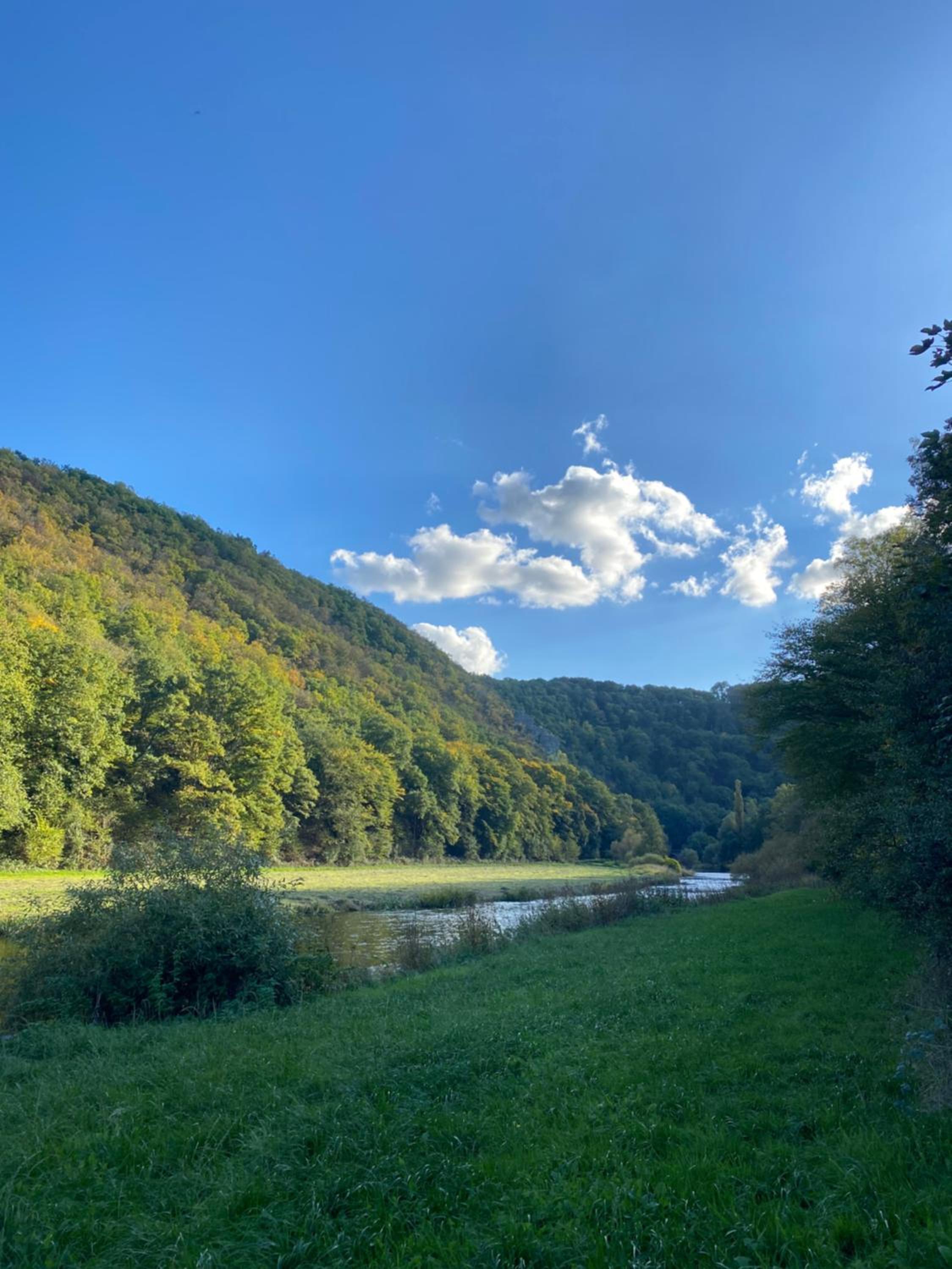 Peaceful chalet near the the Sure river