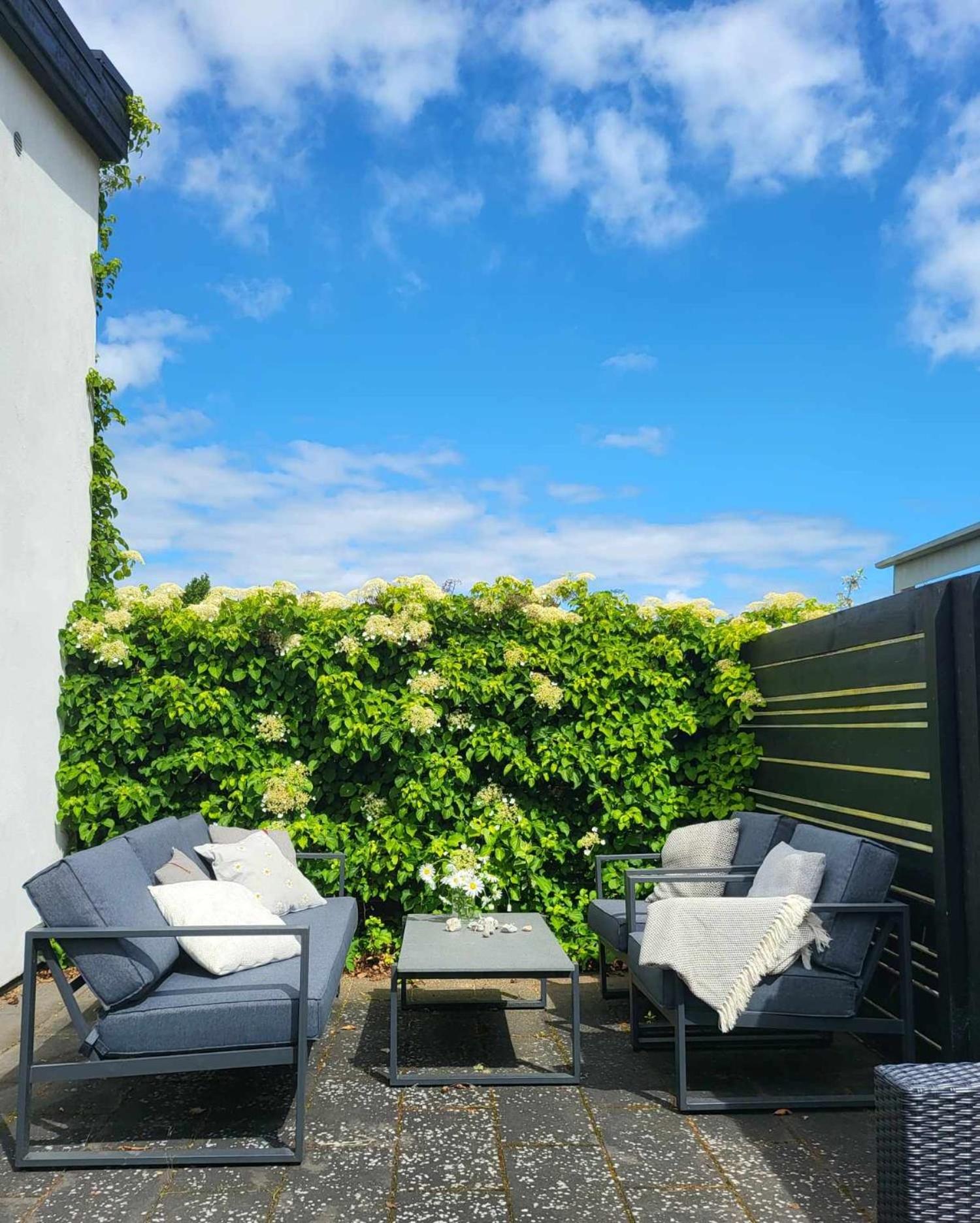Modern & Homely Apartment - Free Parking view 3