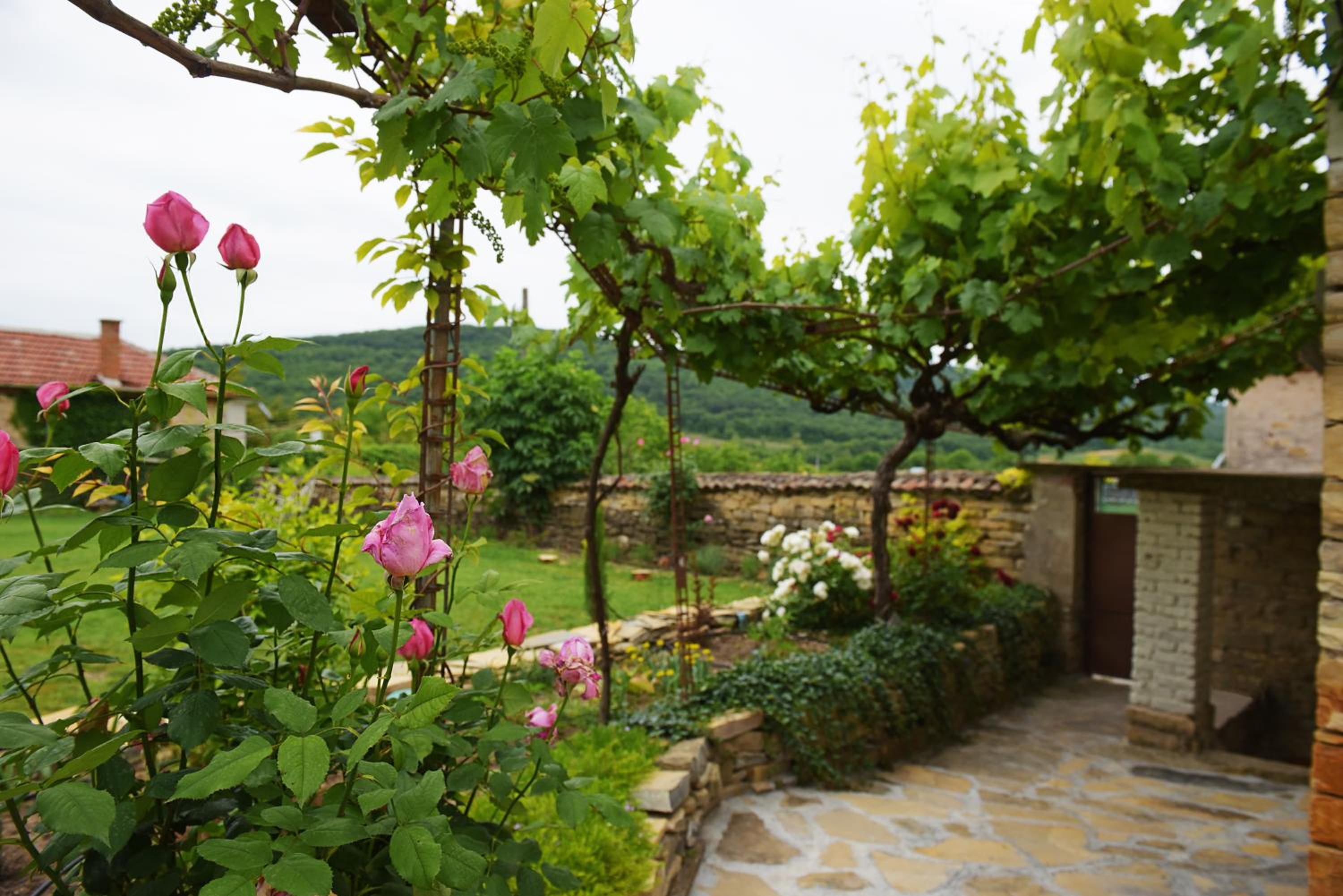 Villa Vin Santo