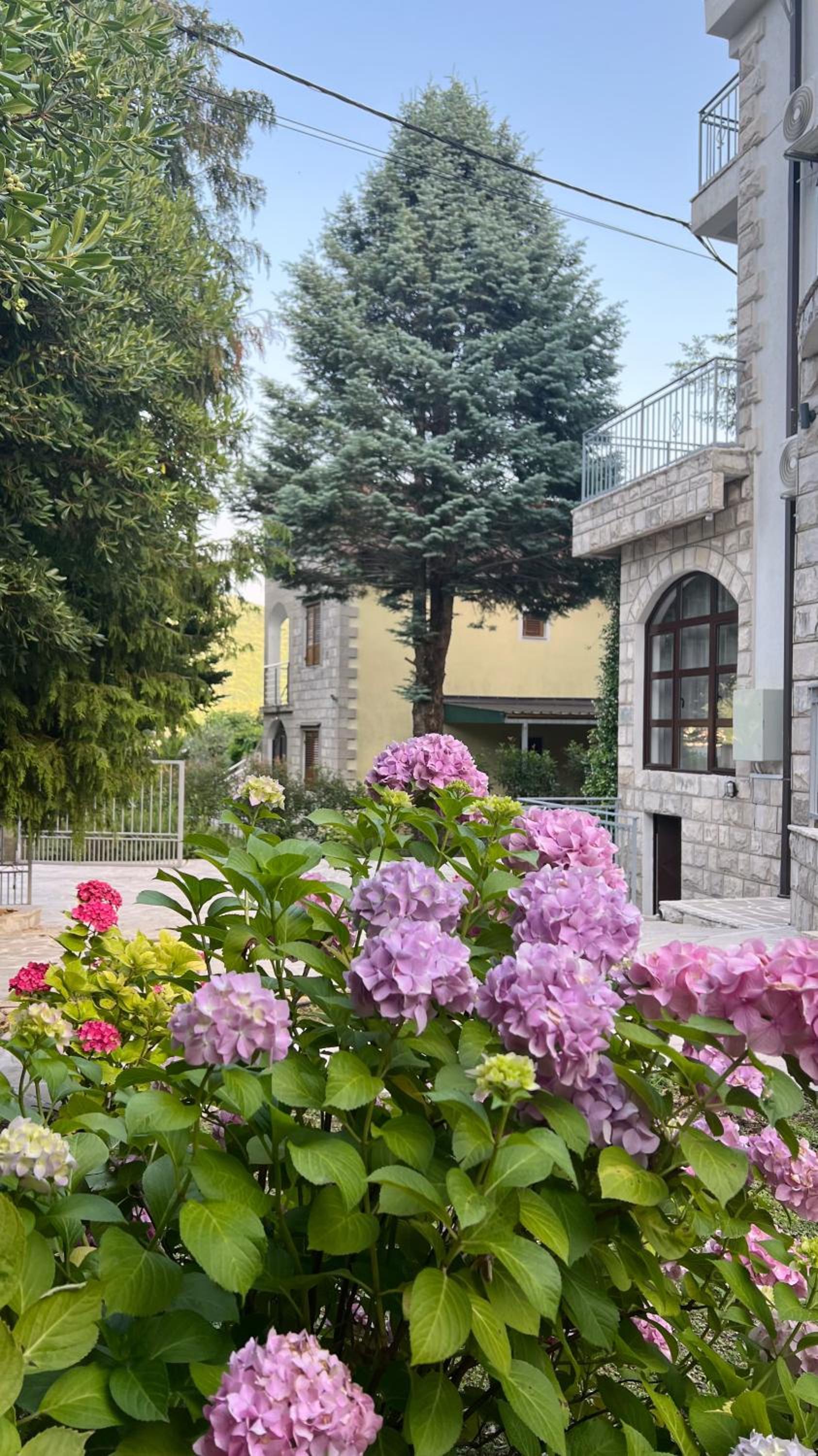 Villa Sazanka with private pool view 5