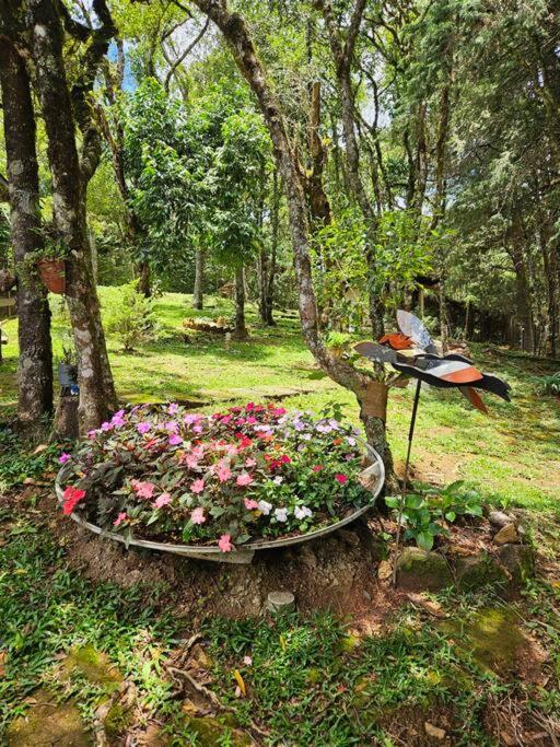 Lareira forno e fogao a lenha nas montanhas