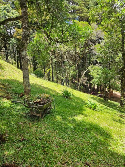 Lareira forno e fogao a lenha nas montanhas