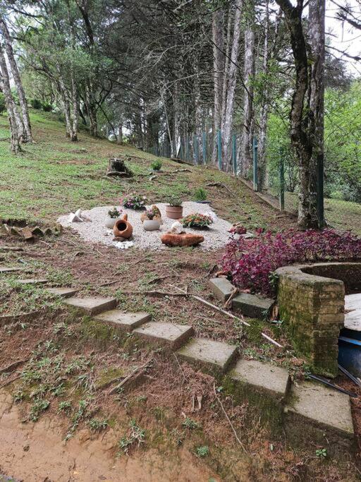 Lareira forno e fogao a lenha nas montanhas