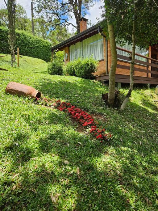 Lareira forno e fogao a lenha nas montanhas