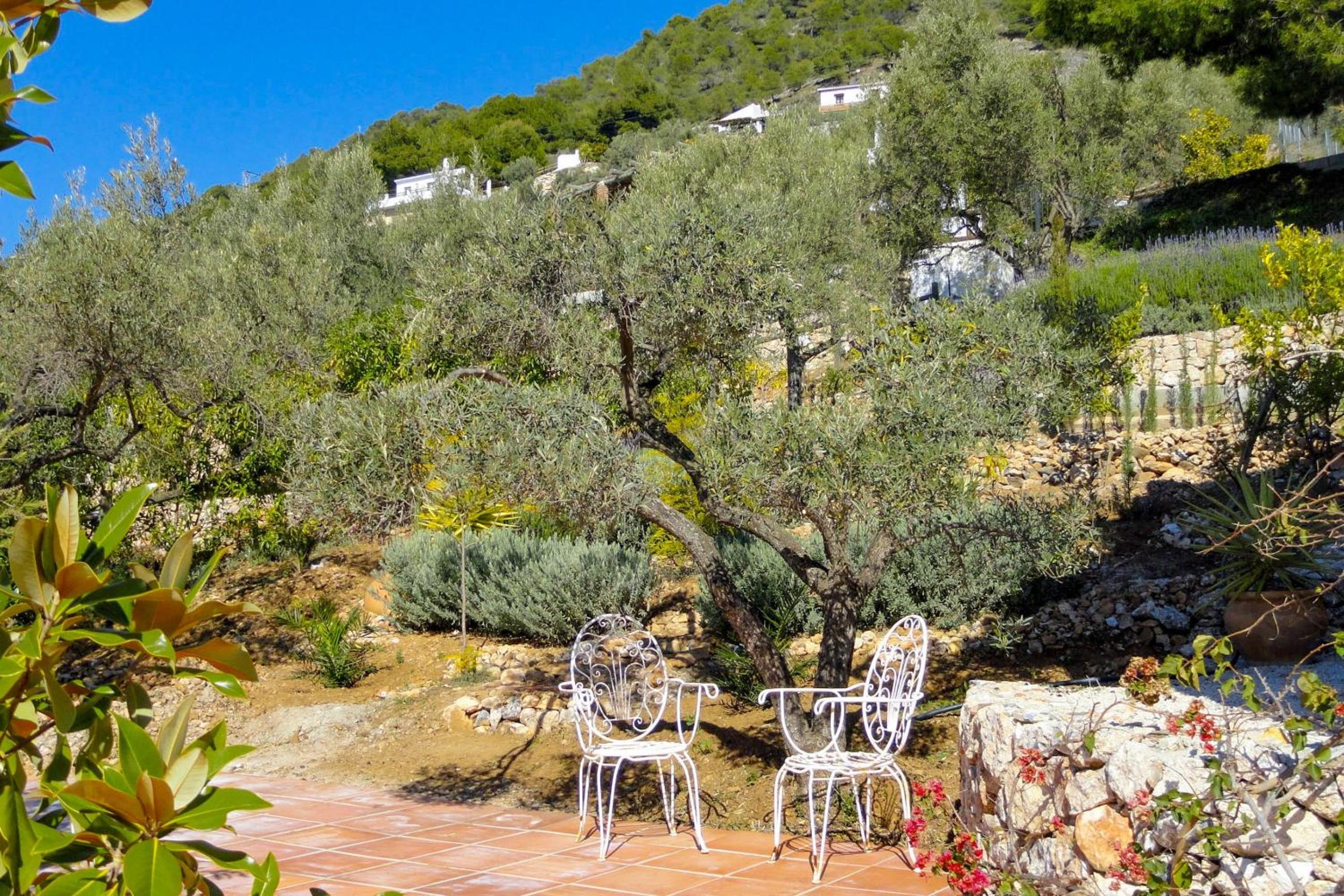 Cortijo Dos Pinos