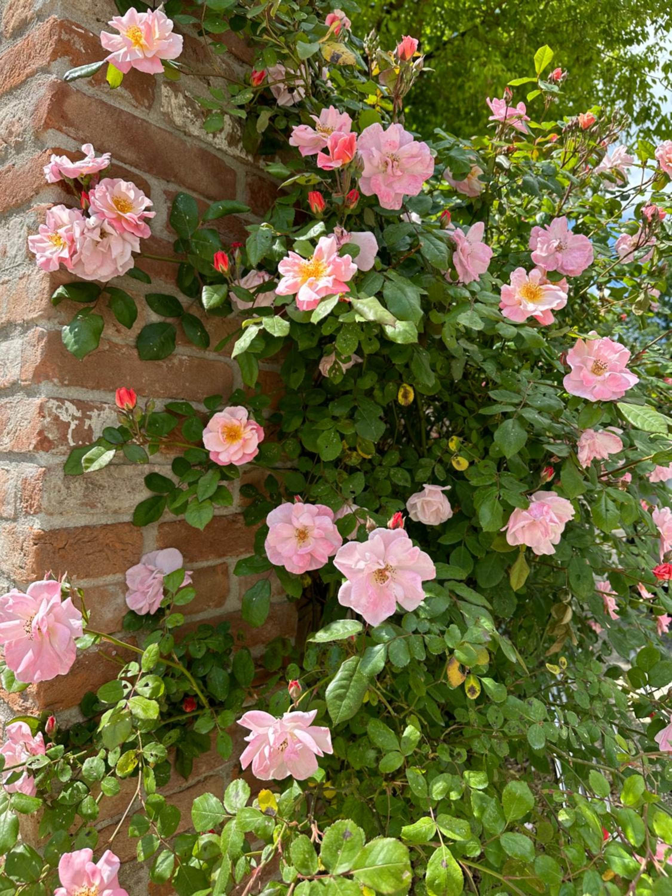 Casaforte La Bastide view 3