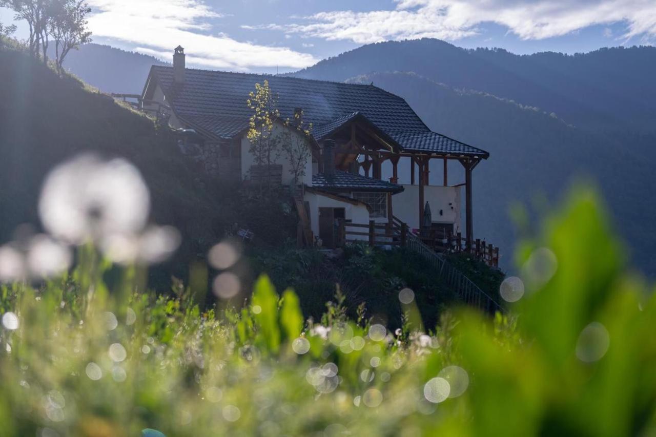 Zeneli Alpin Chalet photo 1