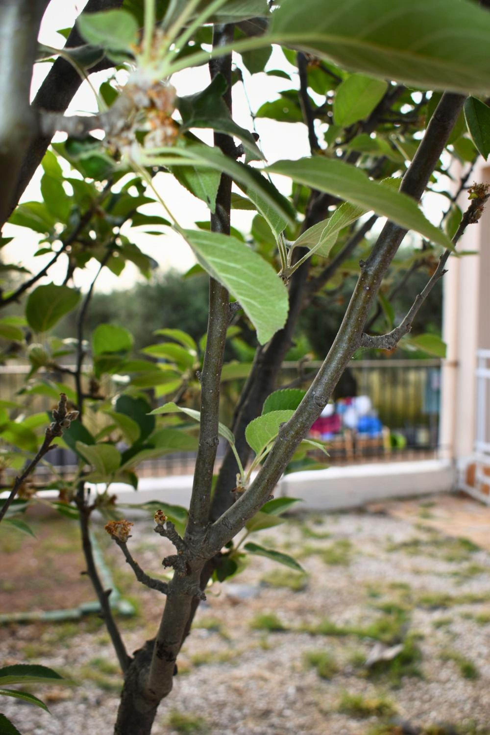 Villa Vrysaki