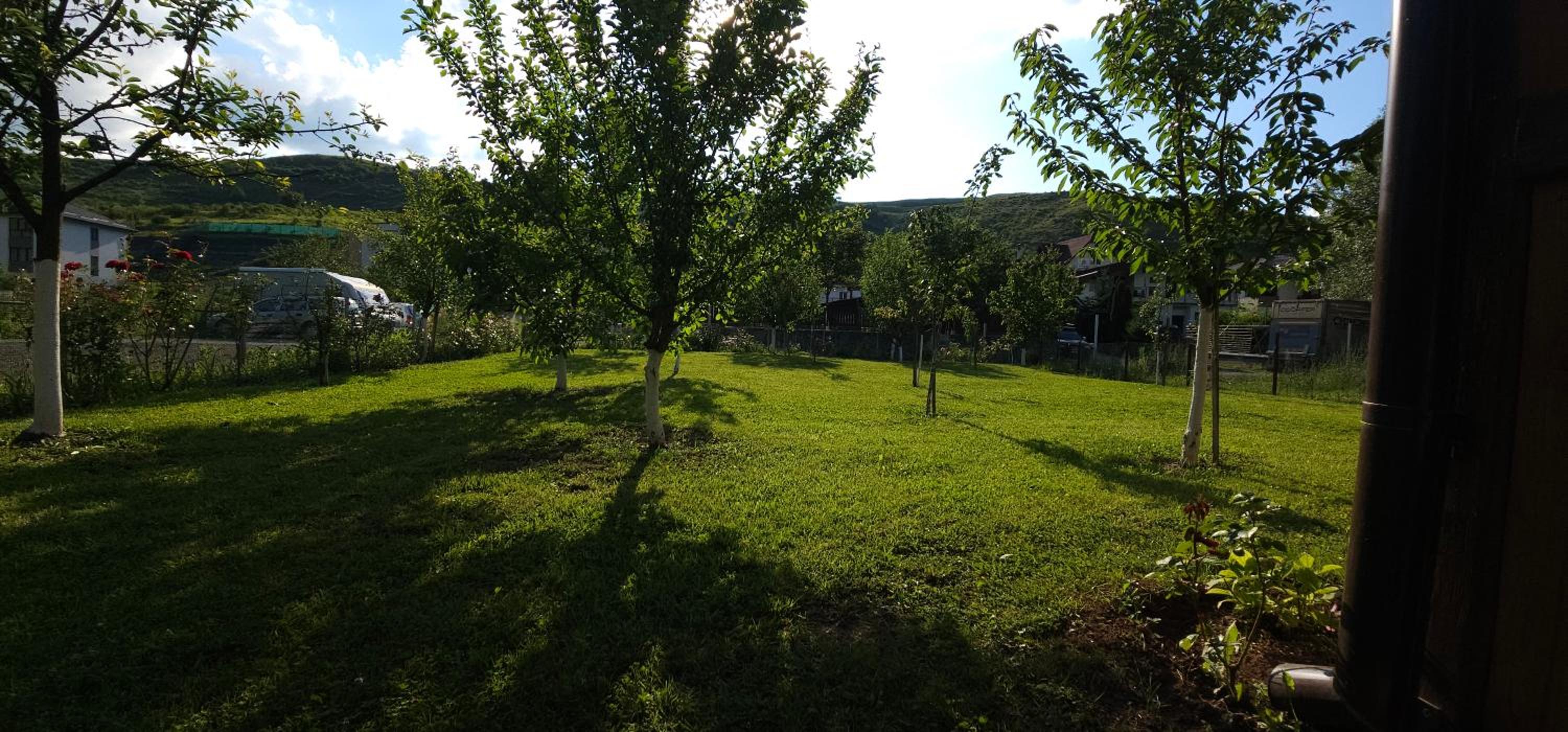 Photo 38