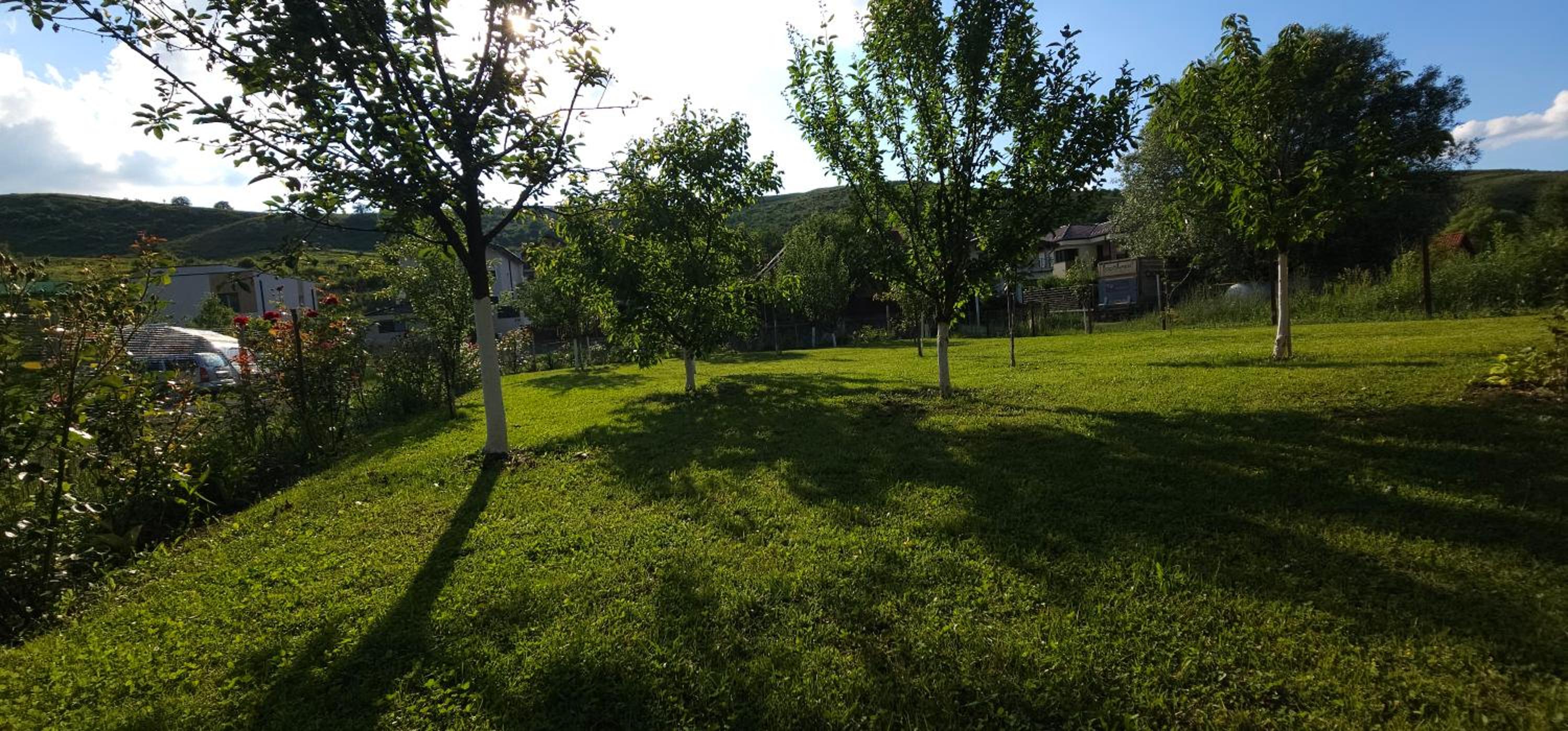 Photo 39