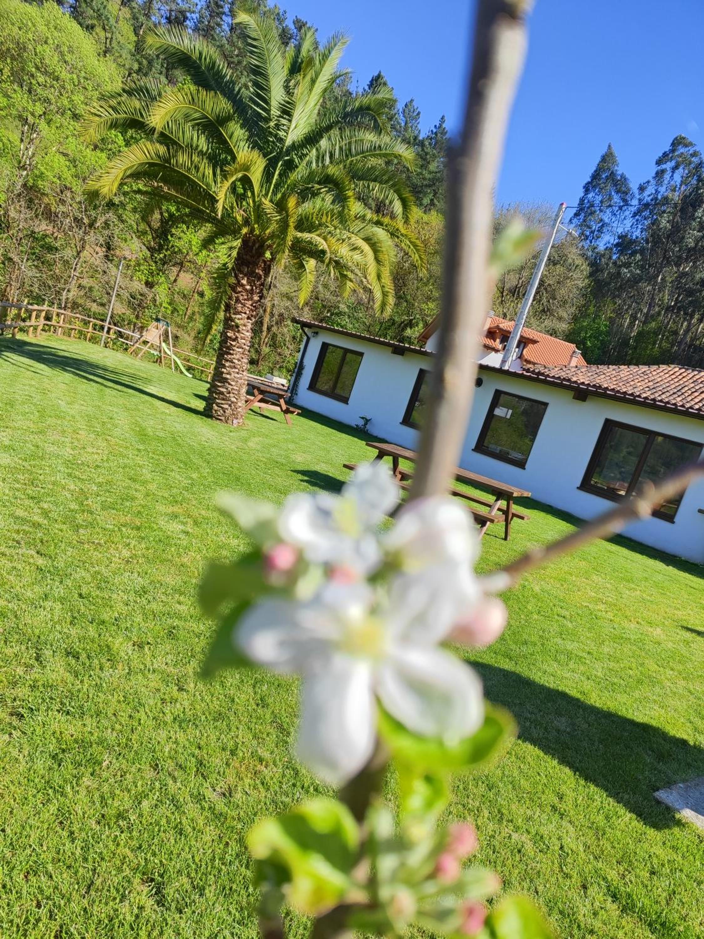 Reguero Gato Turismo Rural