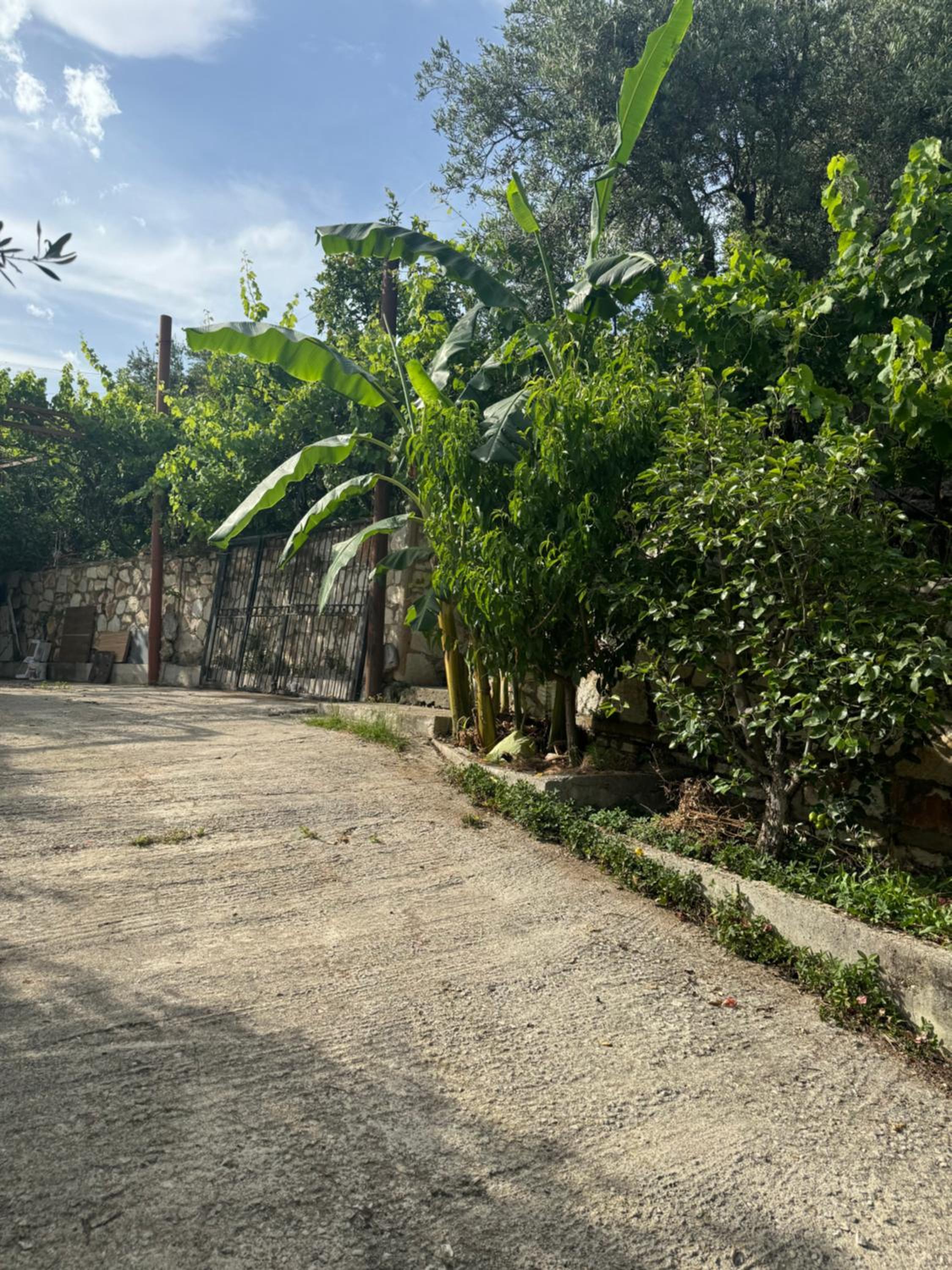 Uzeiri’s Houses photo 4