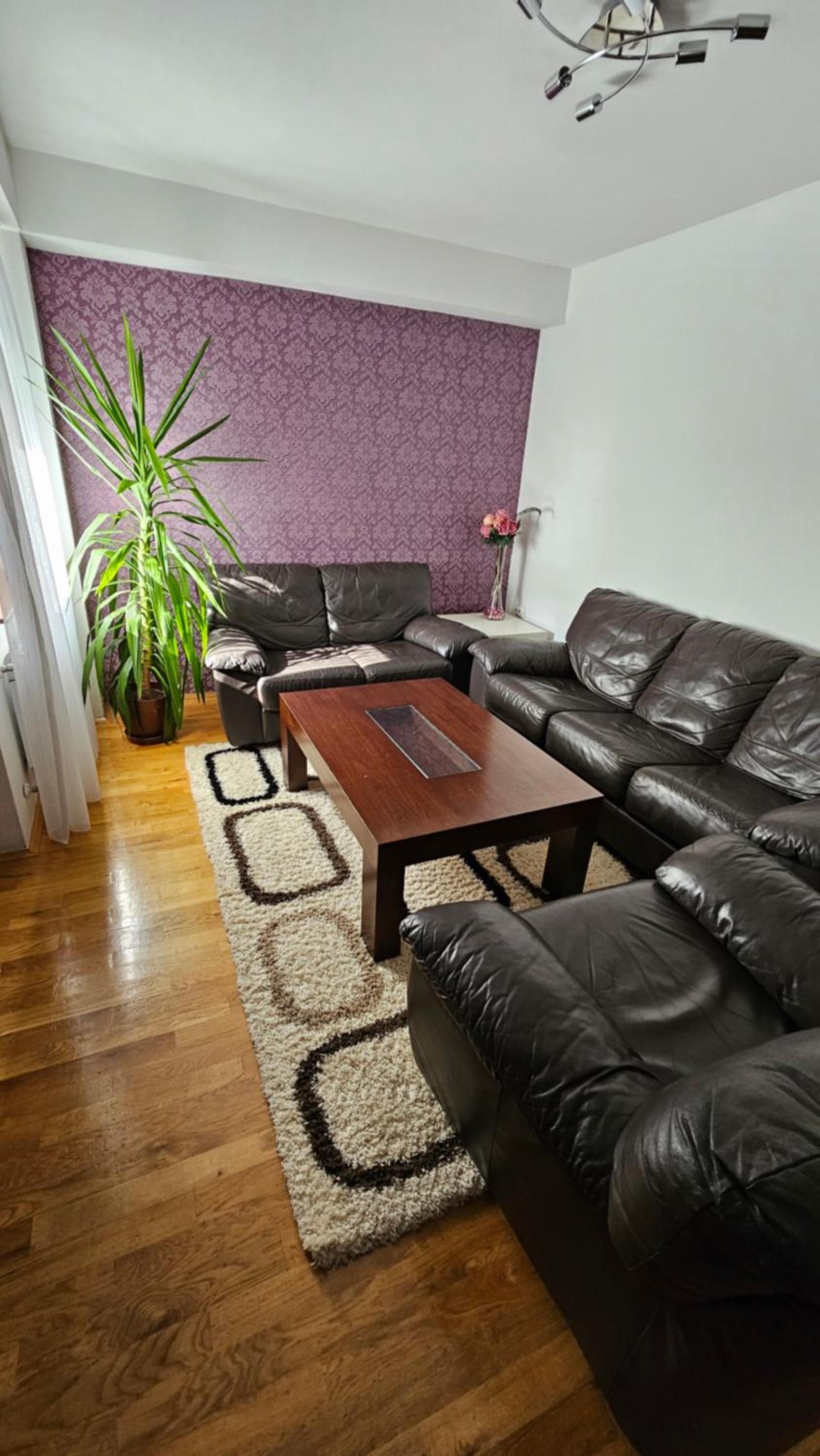 S&S Centre Apartment view 3