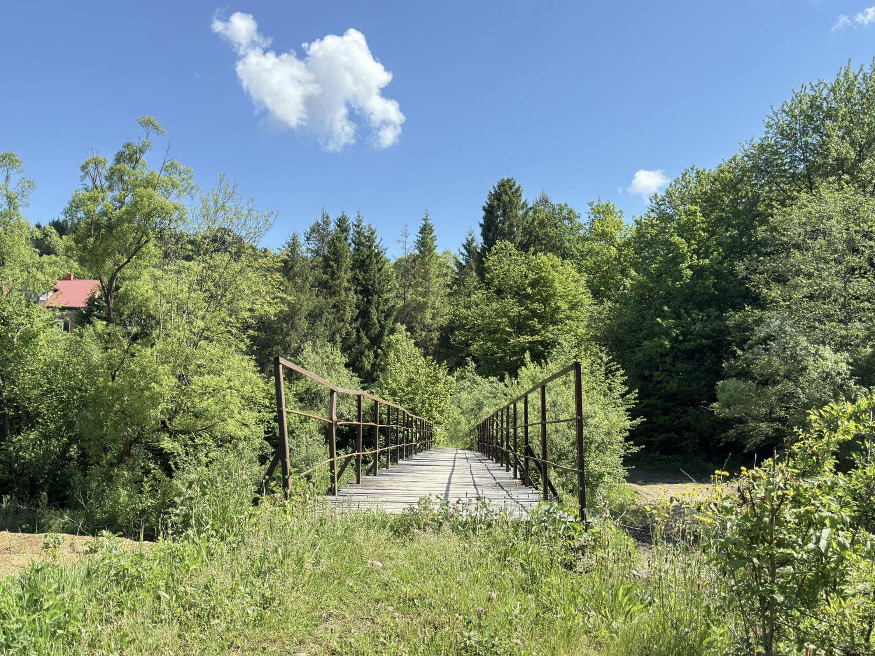 Photo 29
